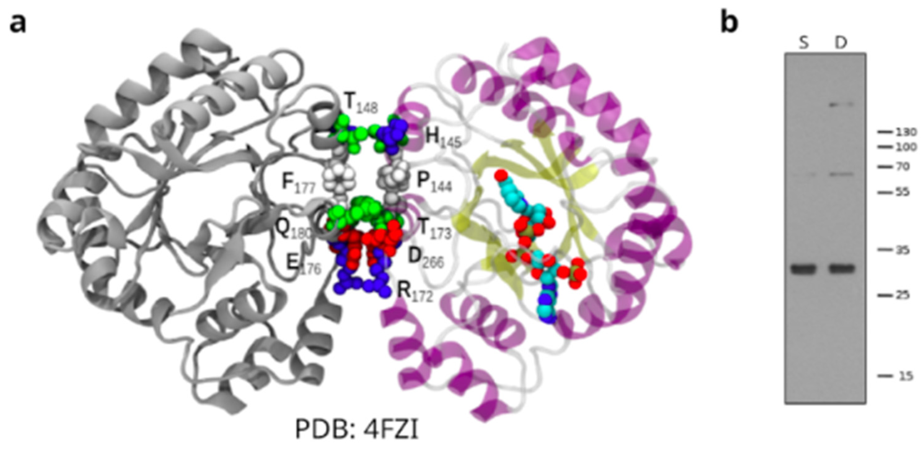 Pathogens 12 00085 g006 550