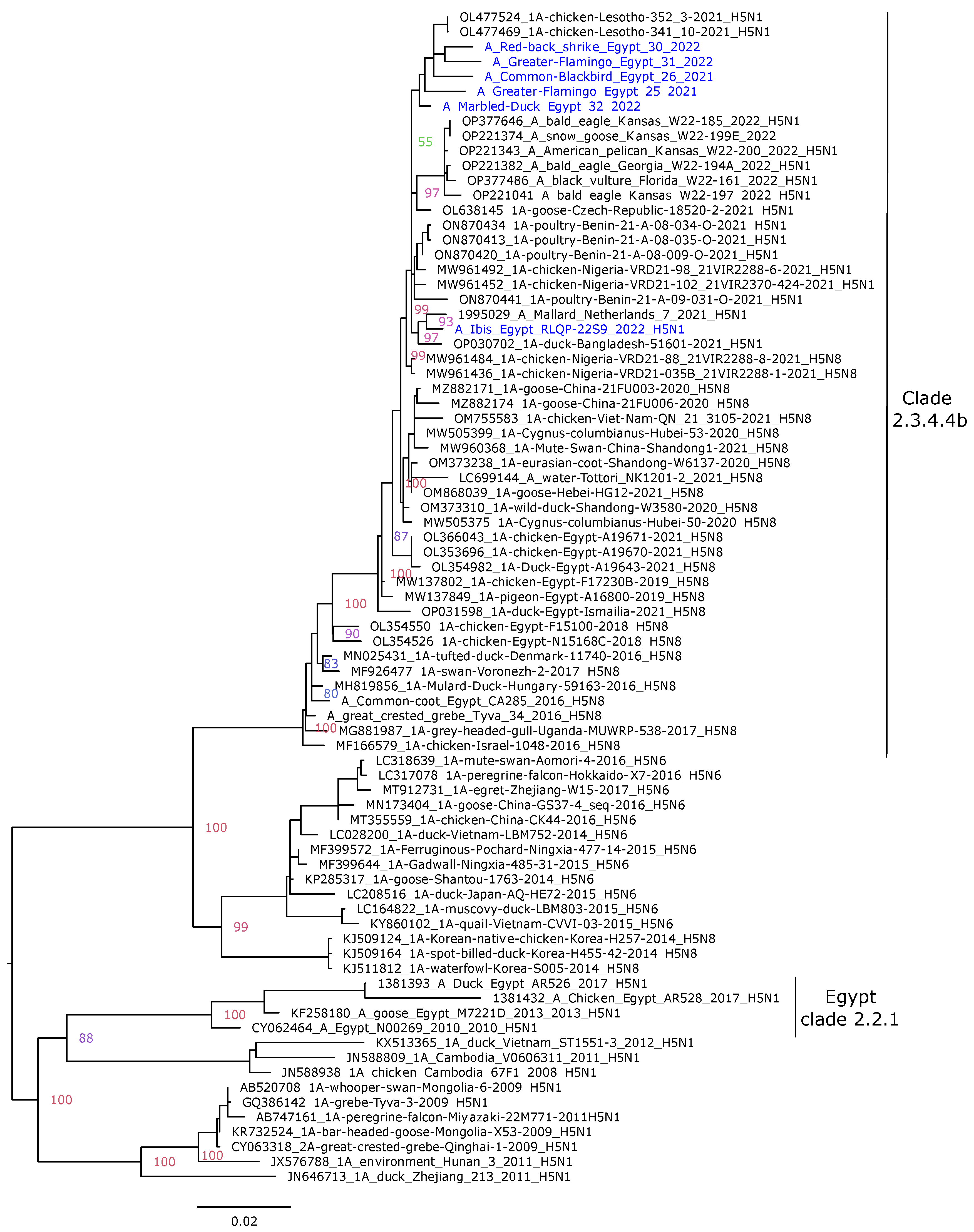Pathogens 12 00090 g001 Pathogens 12 00090 g001