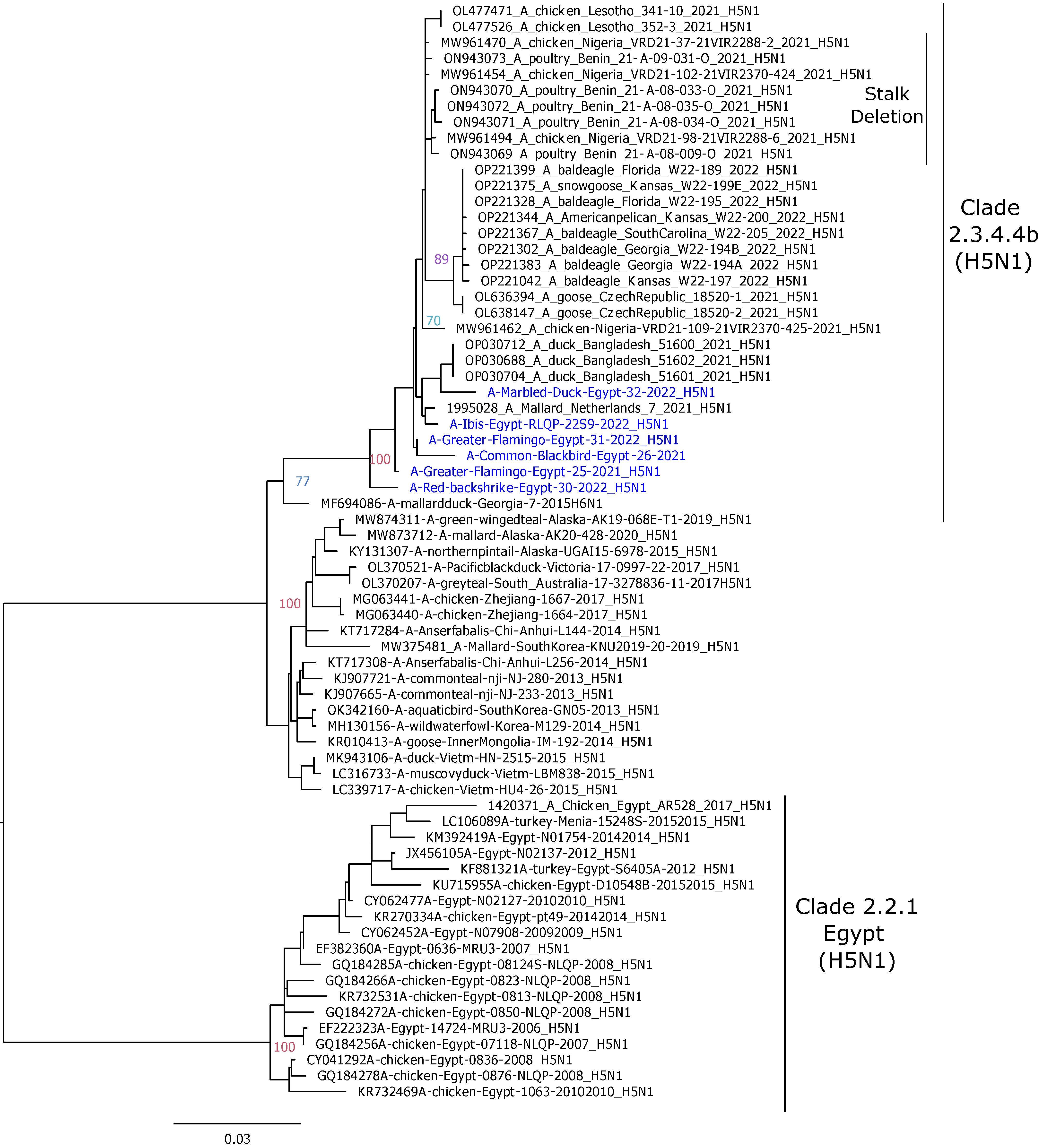 Pathogens 12 00090 g002 Pathogens 12 00090 g002