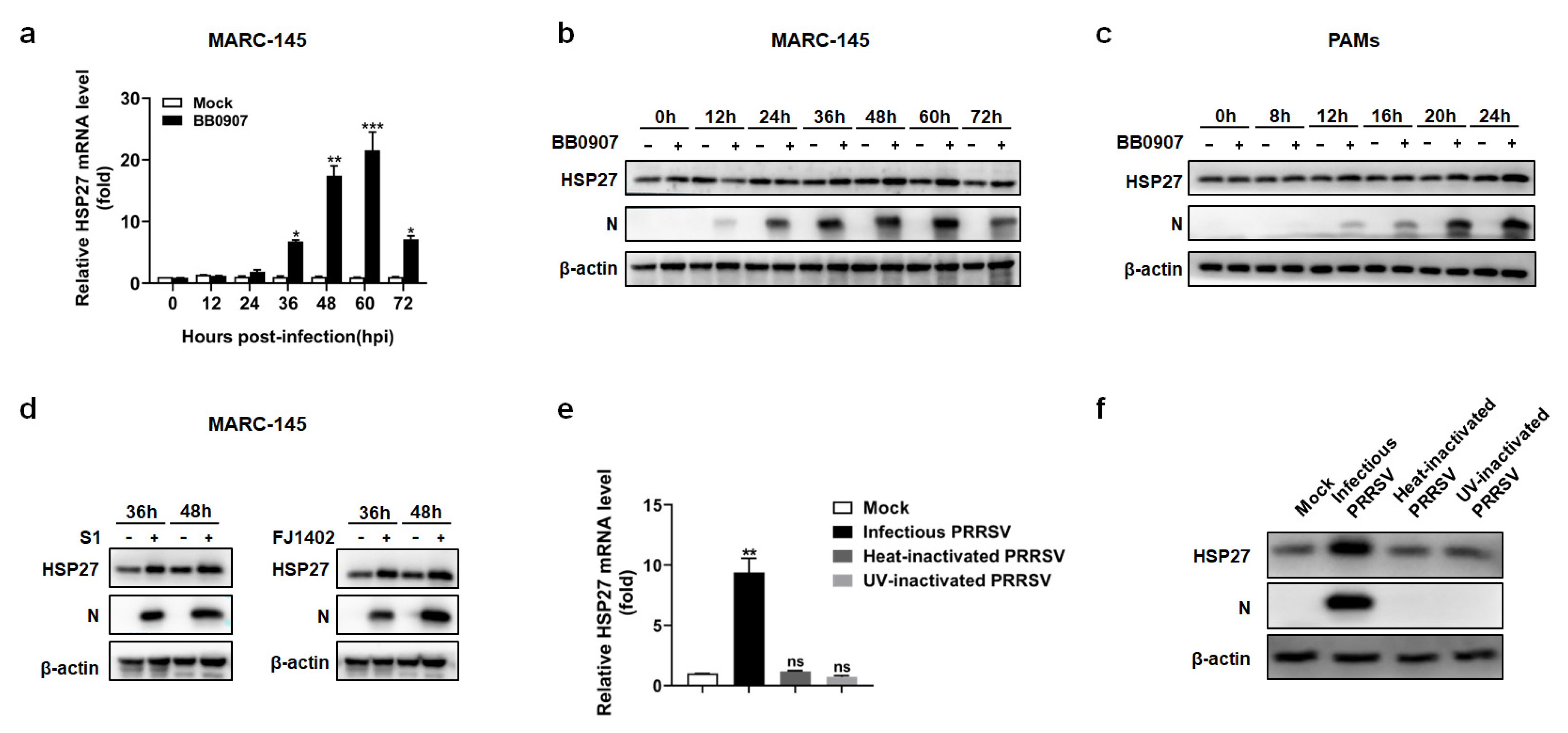 Pathogens 12 00091 g001 Pathogens 12 00091 g001