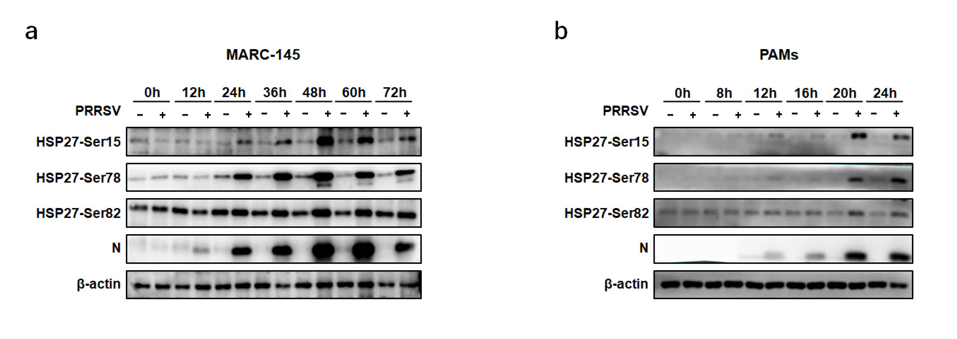 Pathogens 12 00091 g003 Pathogens 12 00091 g003