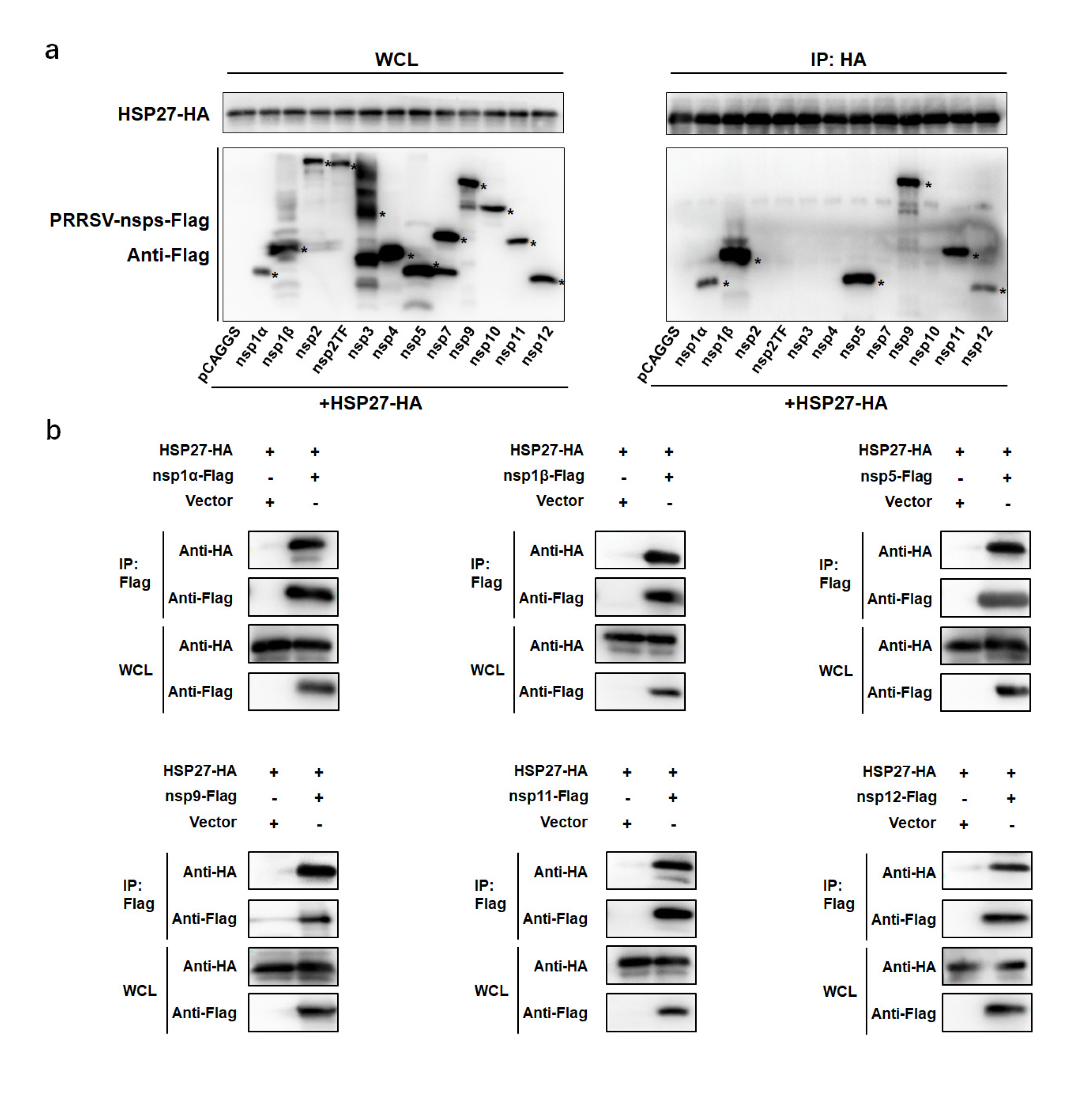 Pathogens 12 00091 g006 Pathogens 12 00091 g006