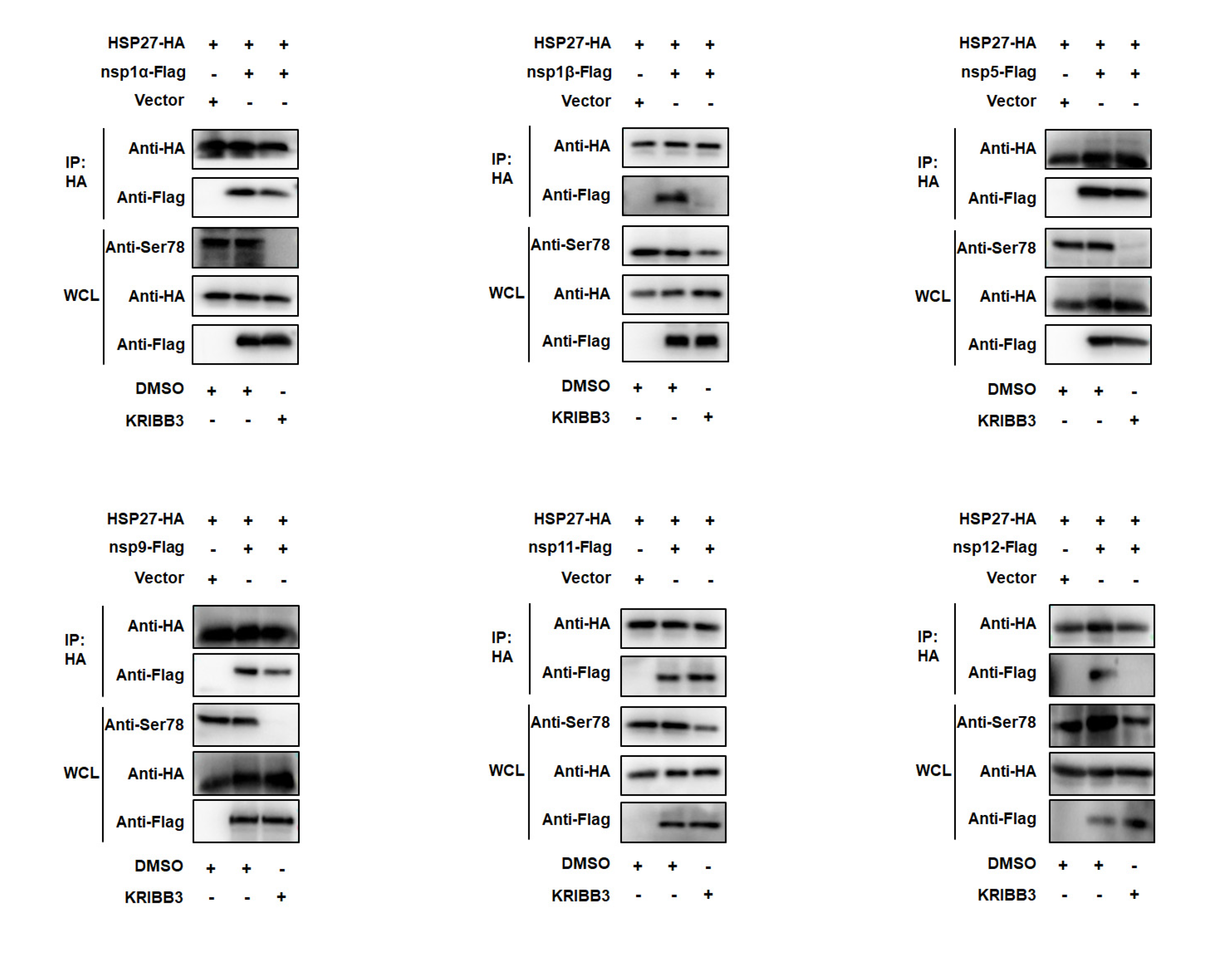Pathogens 12 00091 g007 Pathogens 12 00091 g007