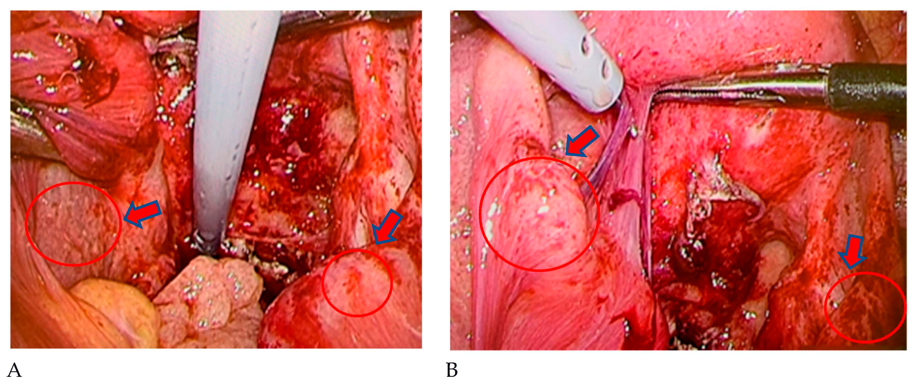 Pathogens 12 00094 g003 Pathogens 12 00094 g003