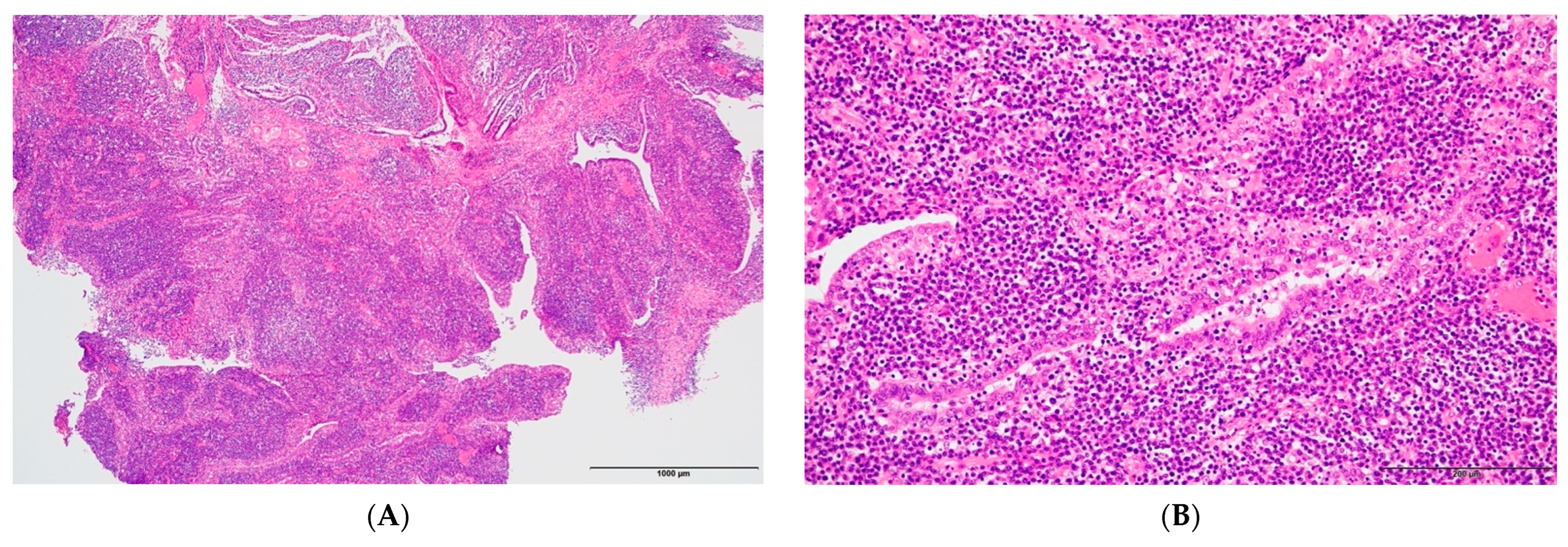 Pathogens 12 00094 g004 Pathogens 12 00094 g004
