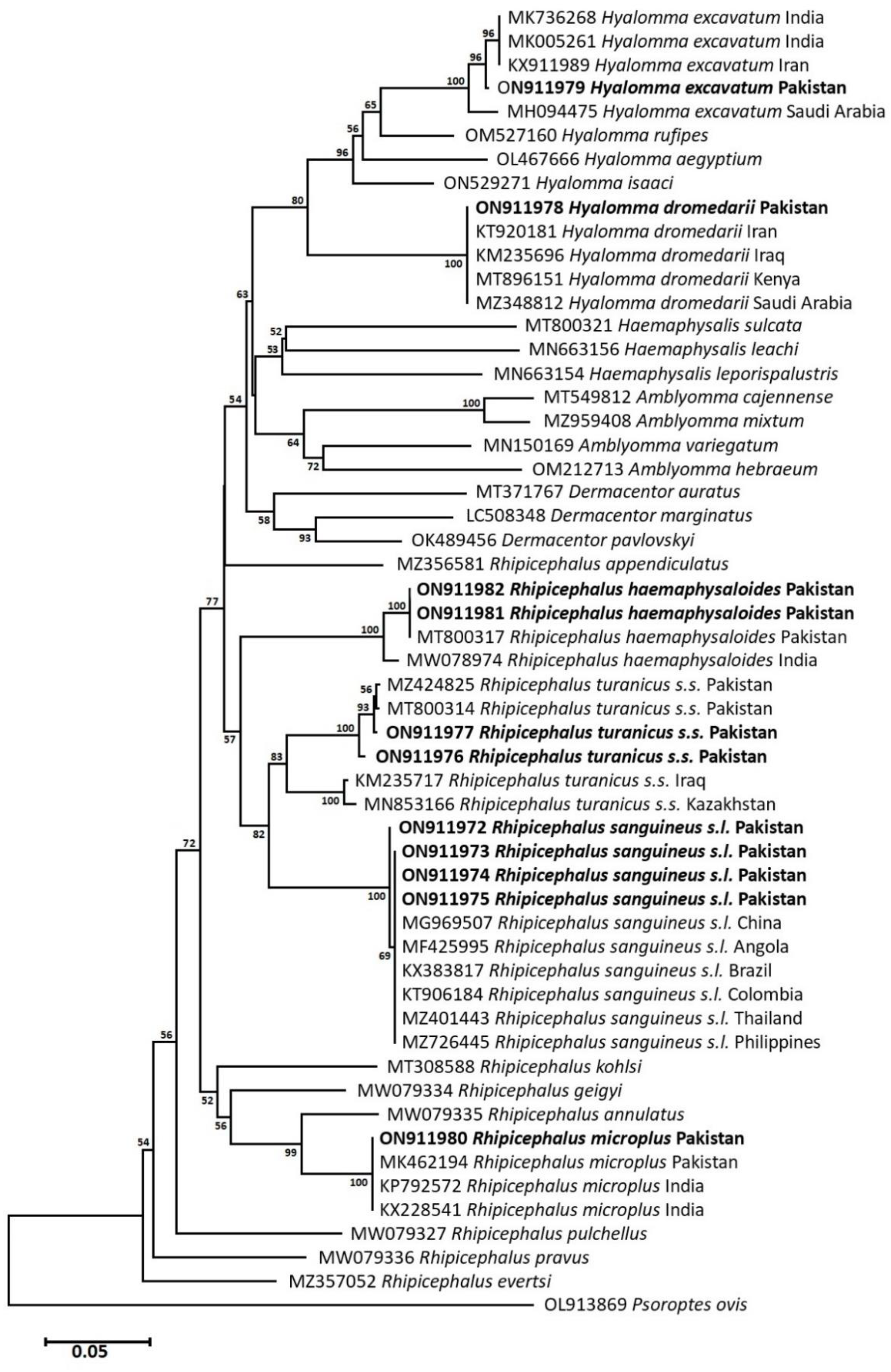 Pathogens 12 00098 g004 Pathogens 12 00098 g004
