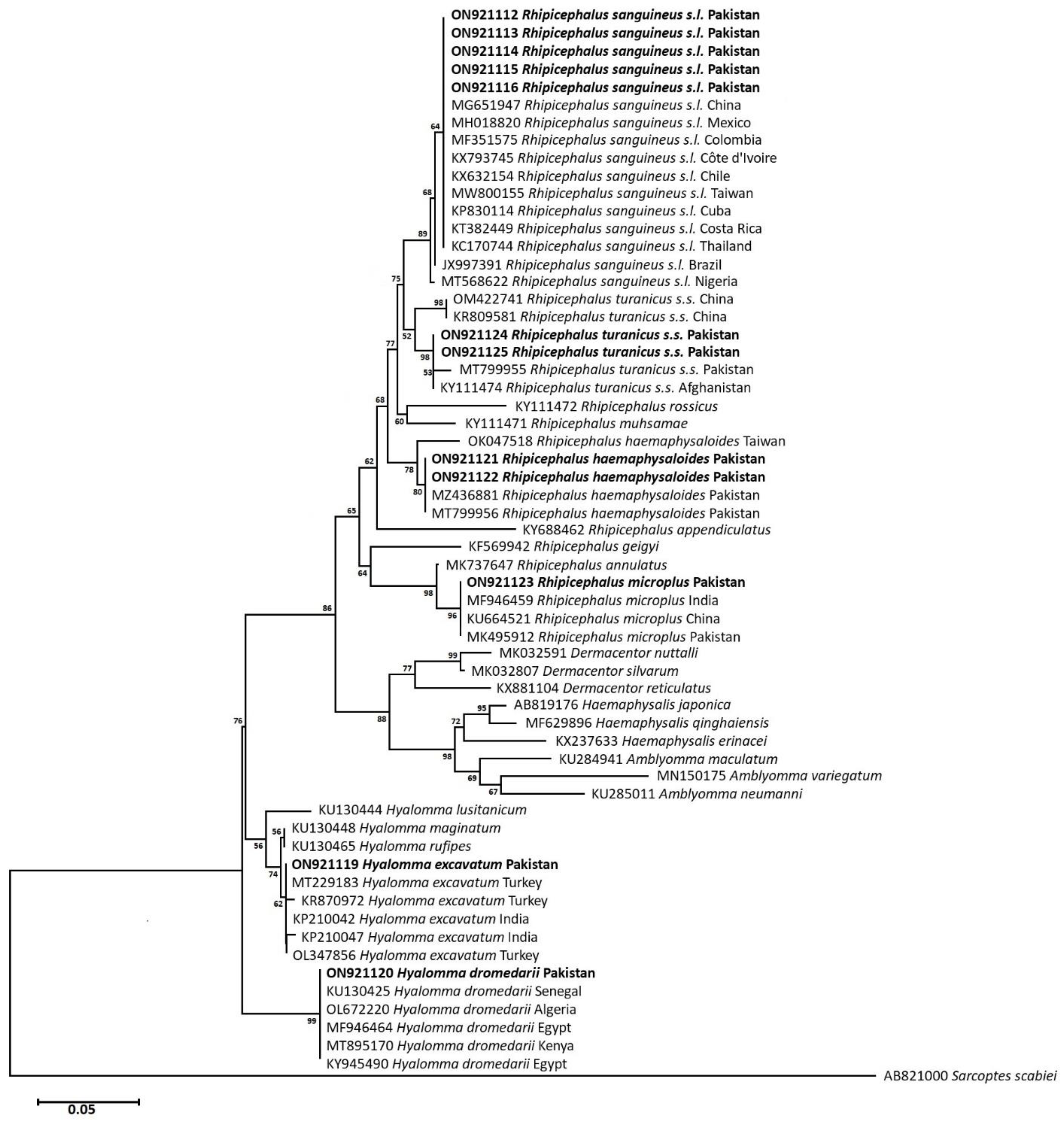 Pathogens 12 00098 g005 Pathogens 12 00098 g005