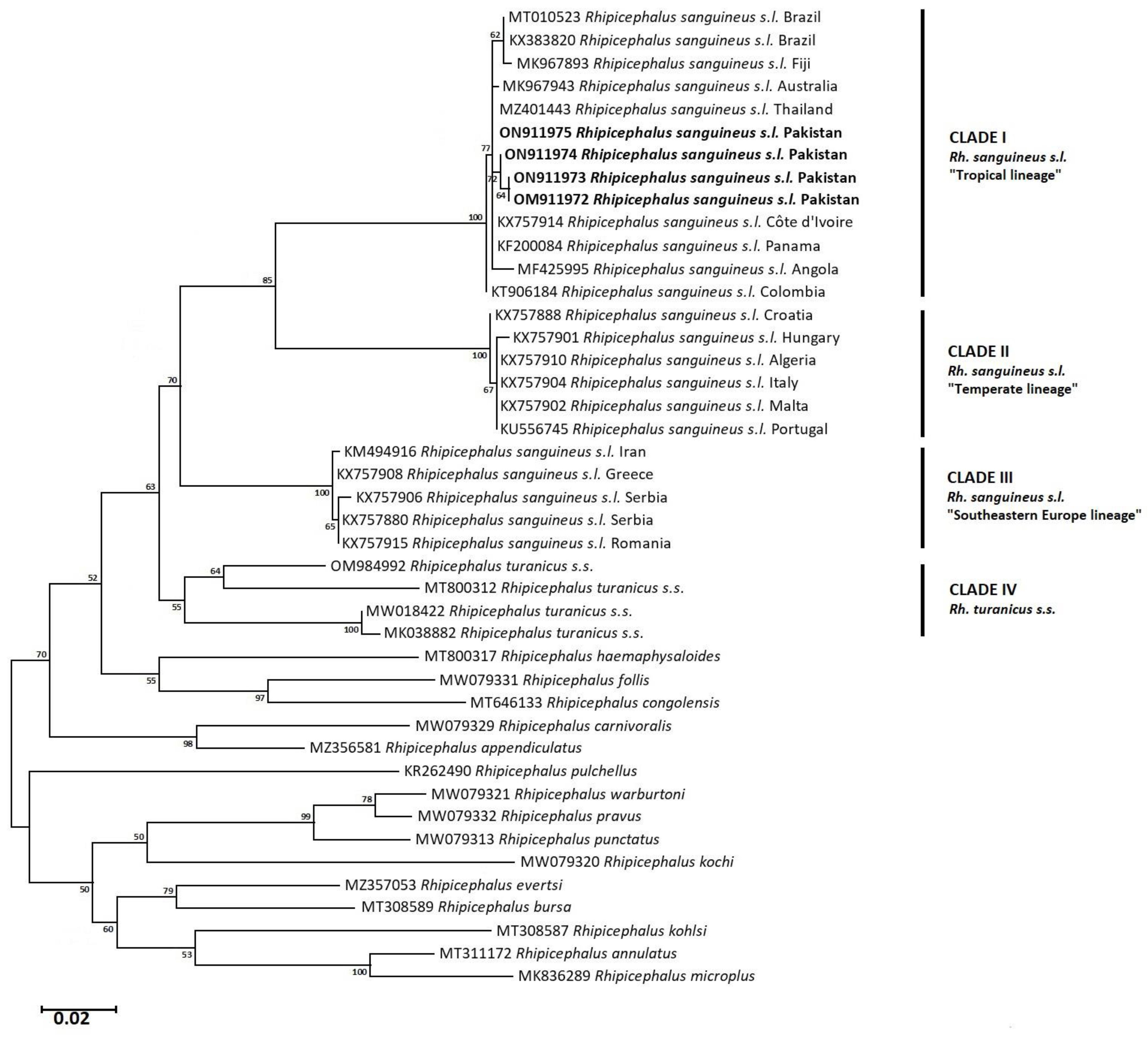 Pathogens 12 00098 g006 Pathogens 12 00098 g006