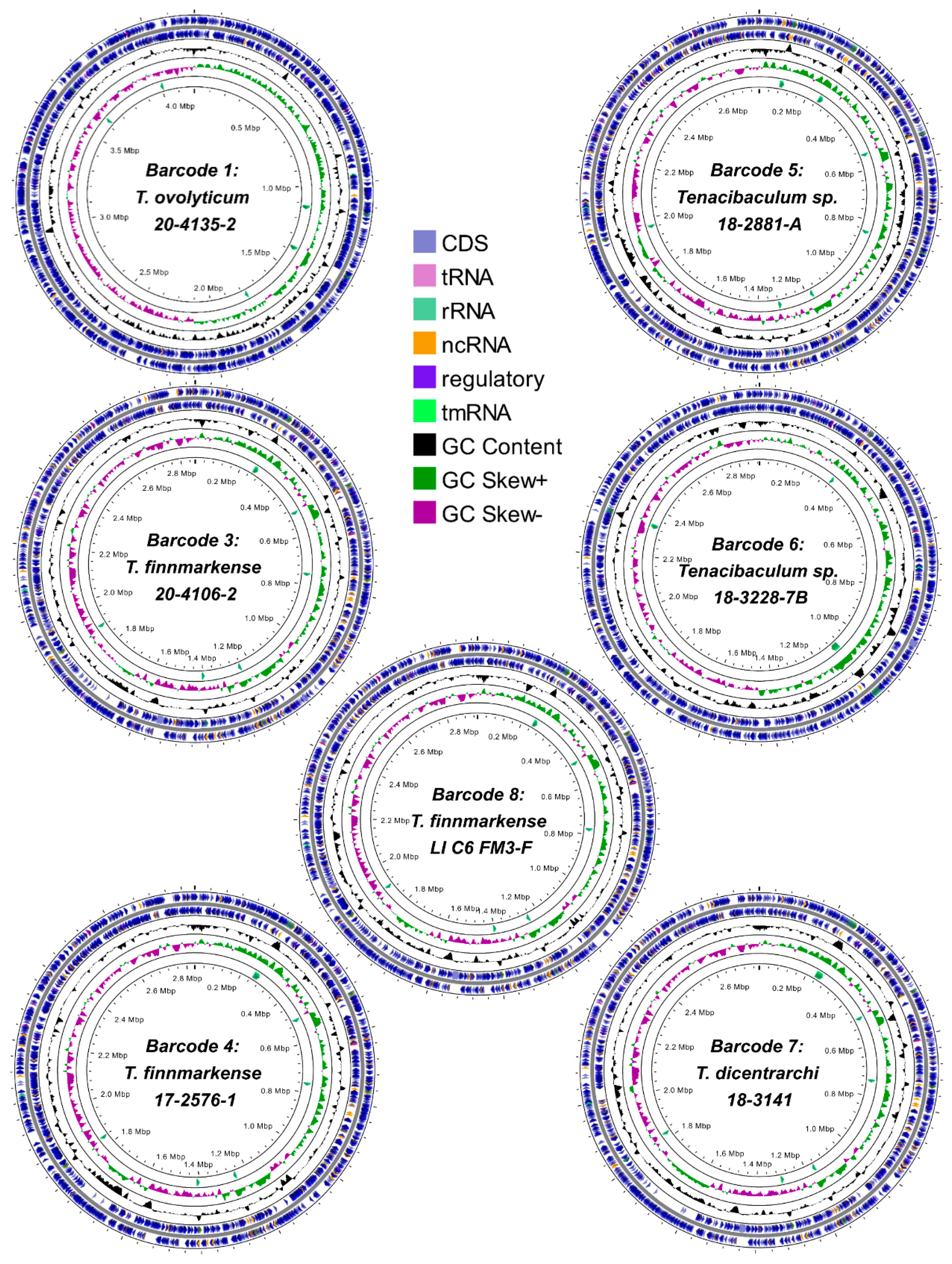 Pathogens 12 00101 g001 Pathogens 12 00101 g001