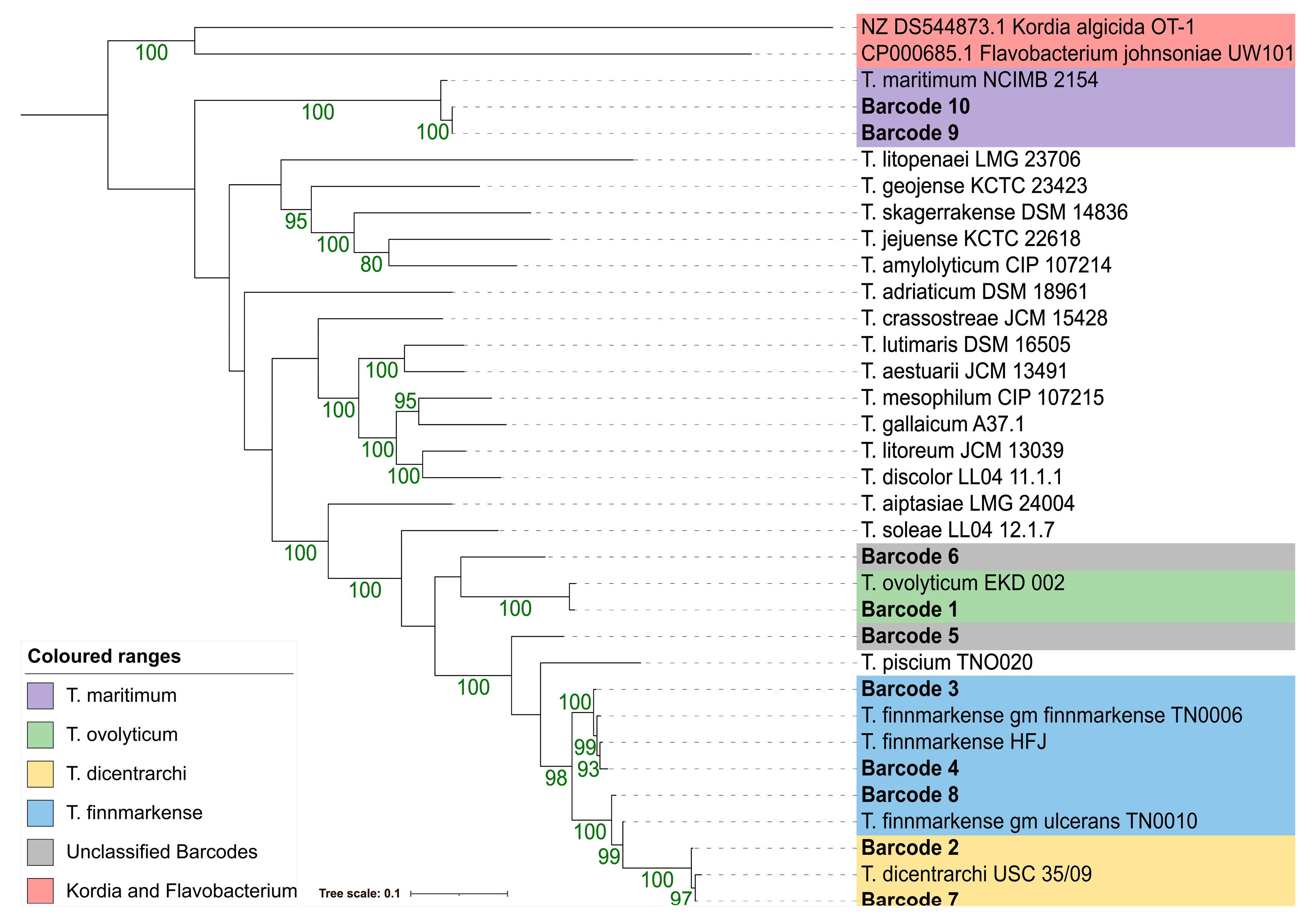 Pathogens 12 00101 g002 Pathogens 12 00101 g002