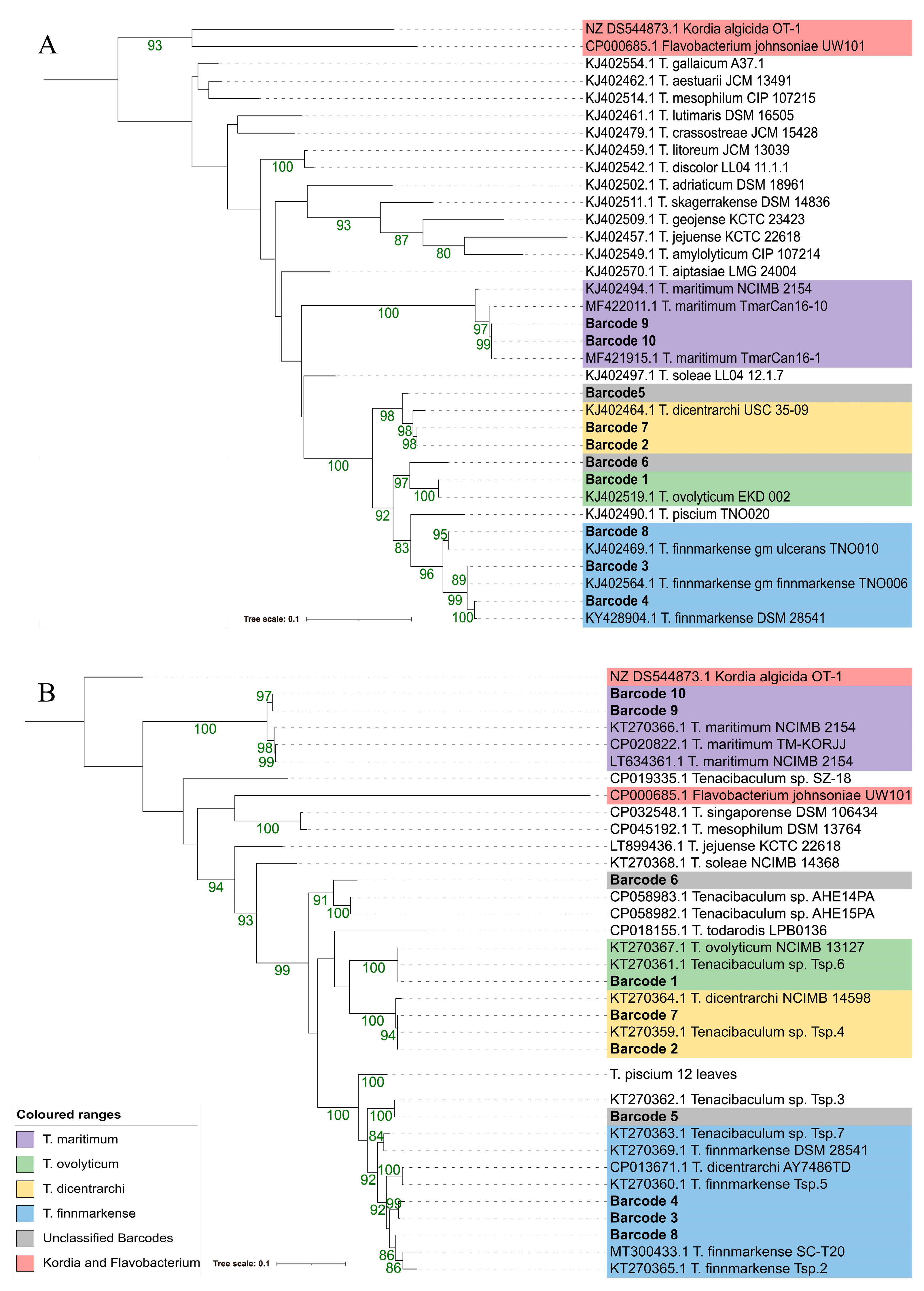 Pathogens 12 00101 g003 Pathogens 12 00101 g003