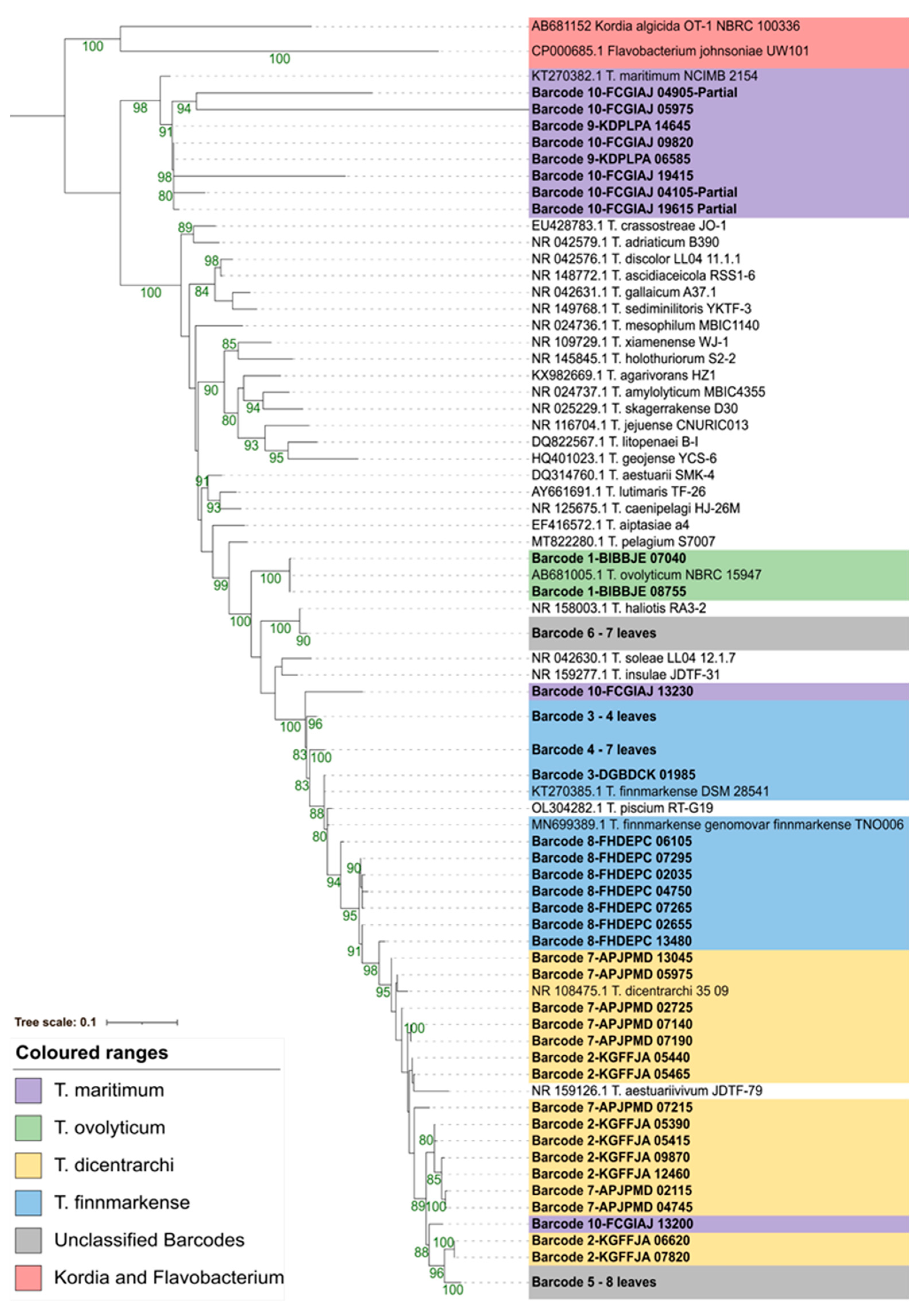 Pathogens 12 00101 g004 Pathogens 12 00101 g004