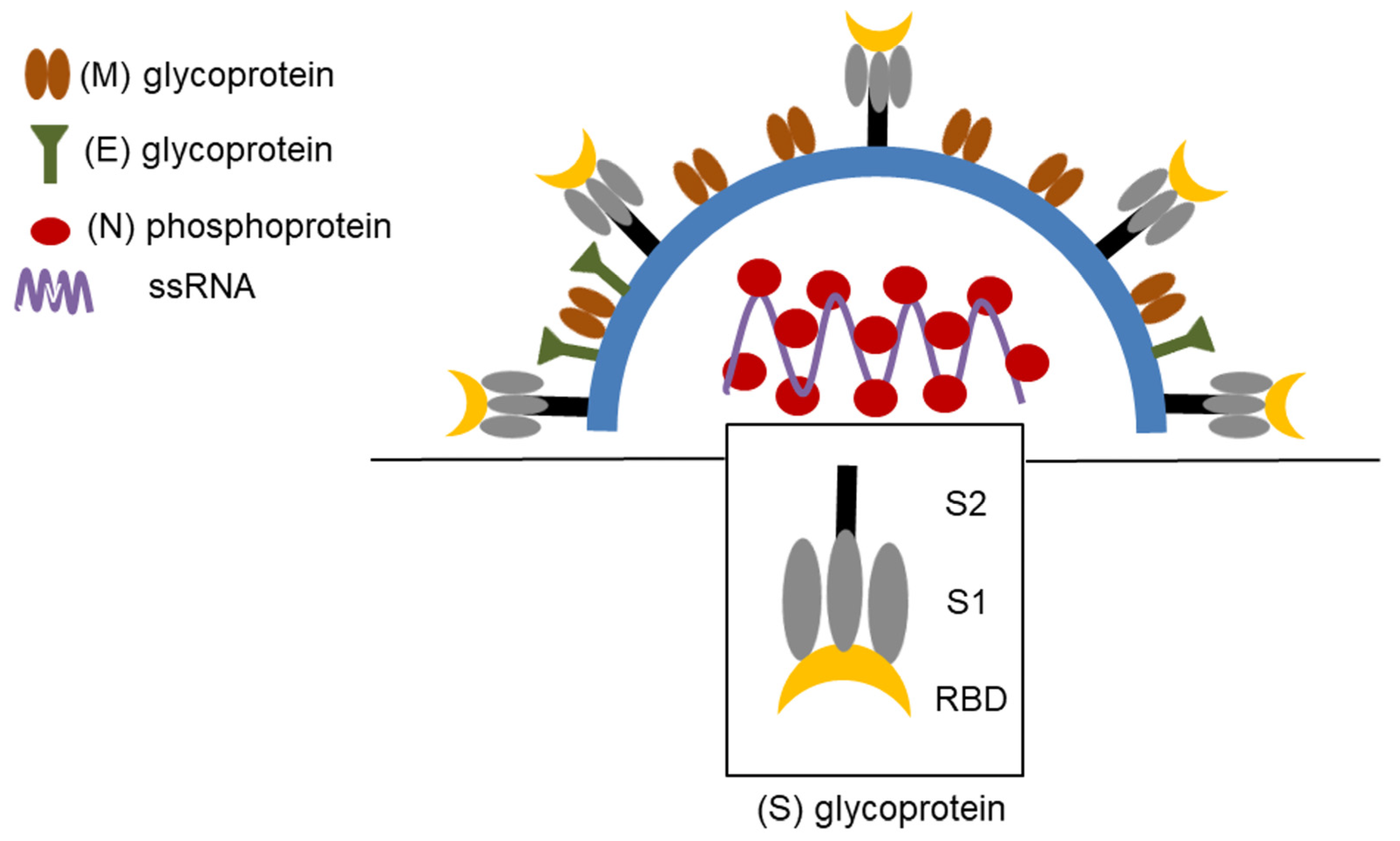Pathogens 12 00109 g001 Pathogens 12 00109 g001