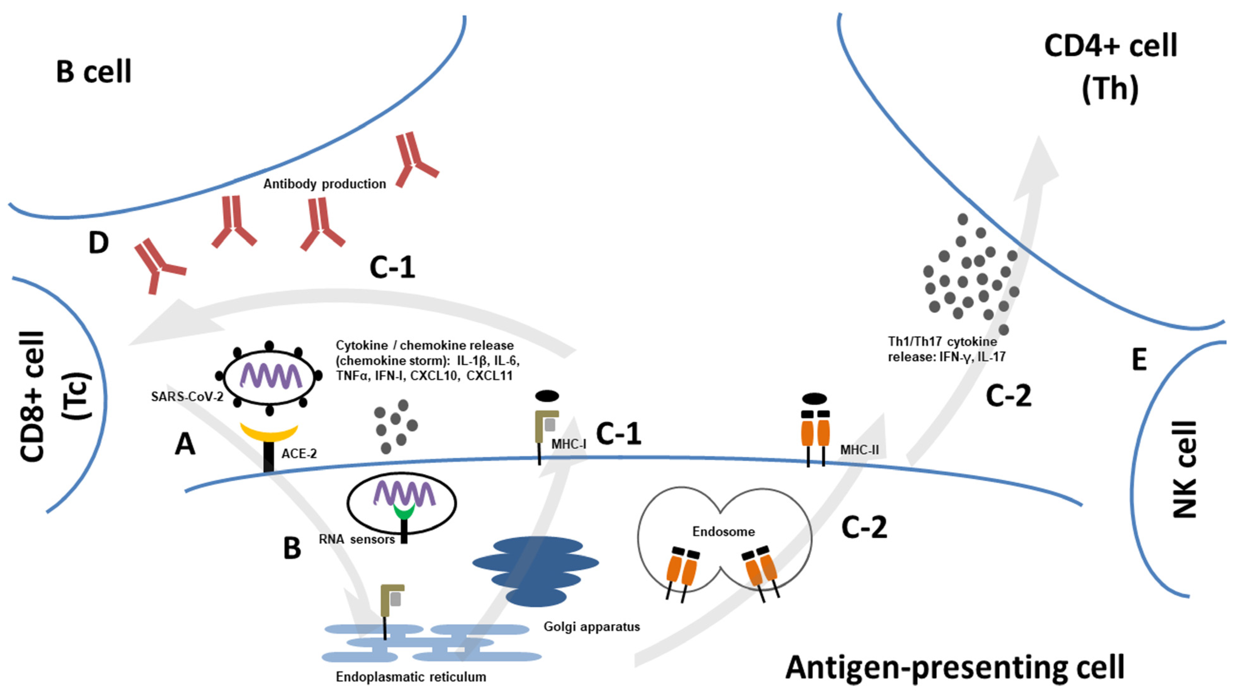 Pathogens 12 00109 g002 Pathogens 12 00109 g002