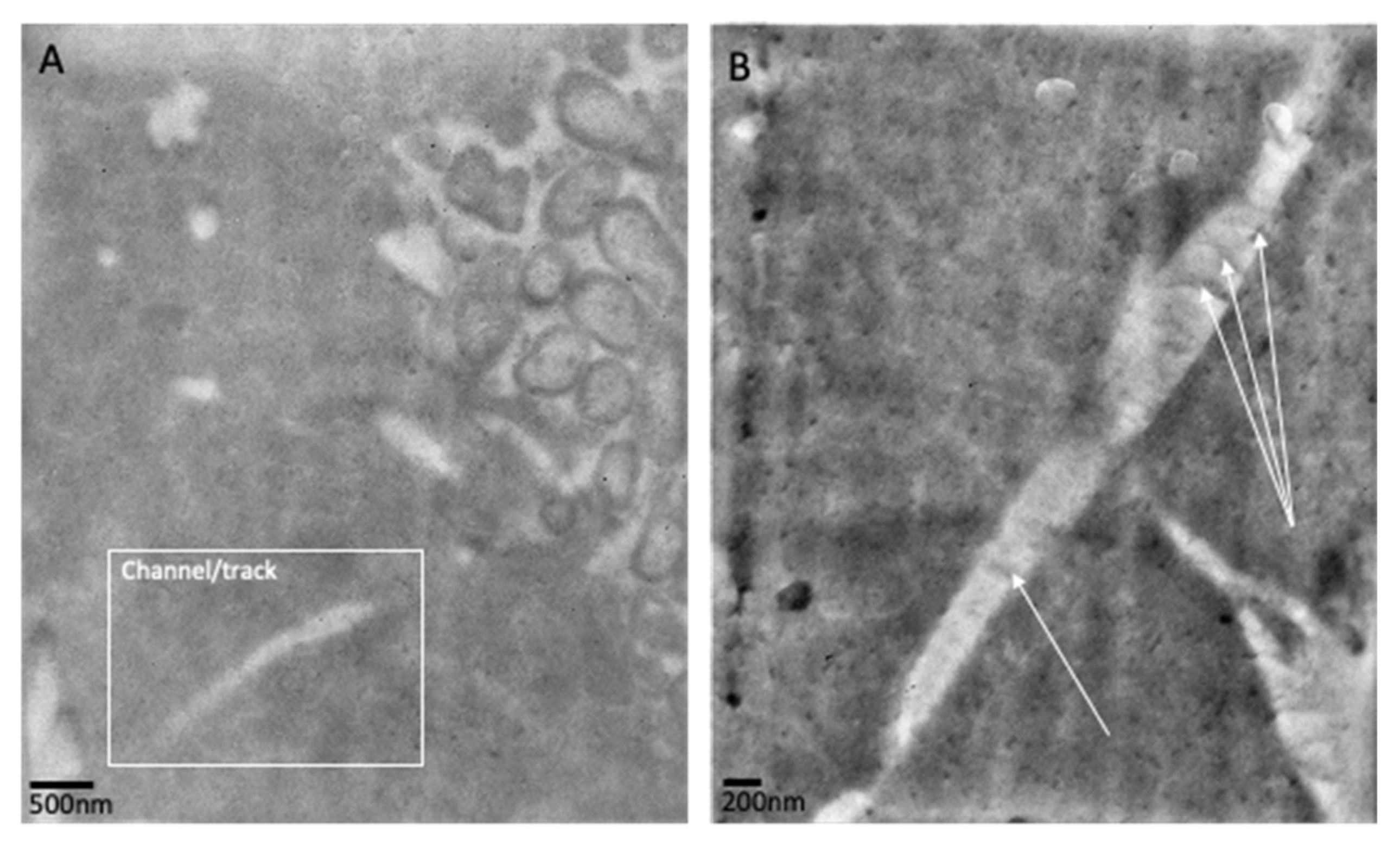 Pathogens 12 00118 g009