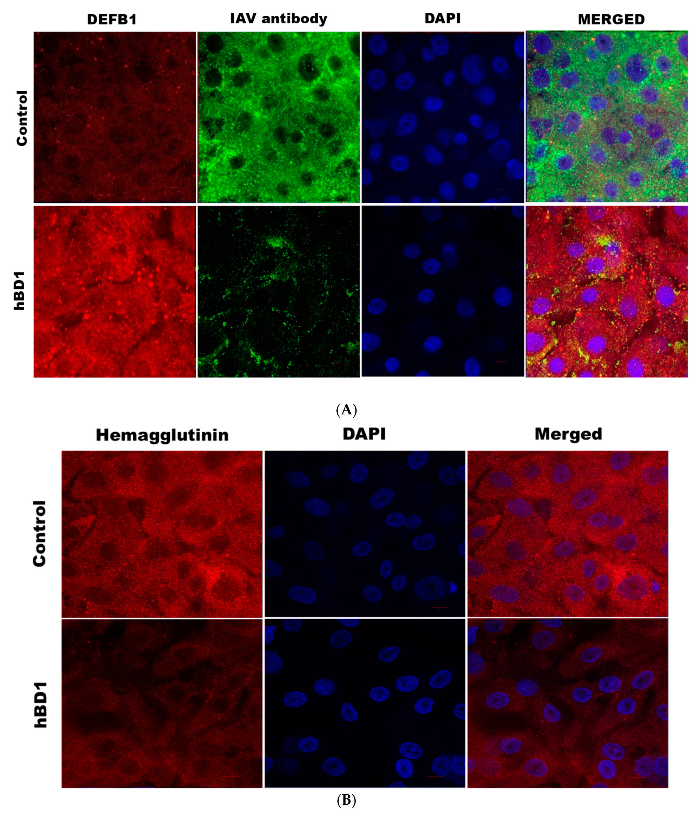 Pathogens 12 00123 g003a