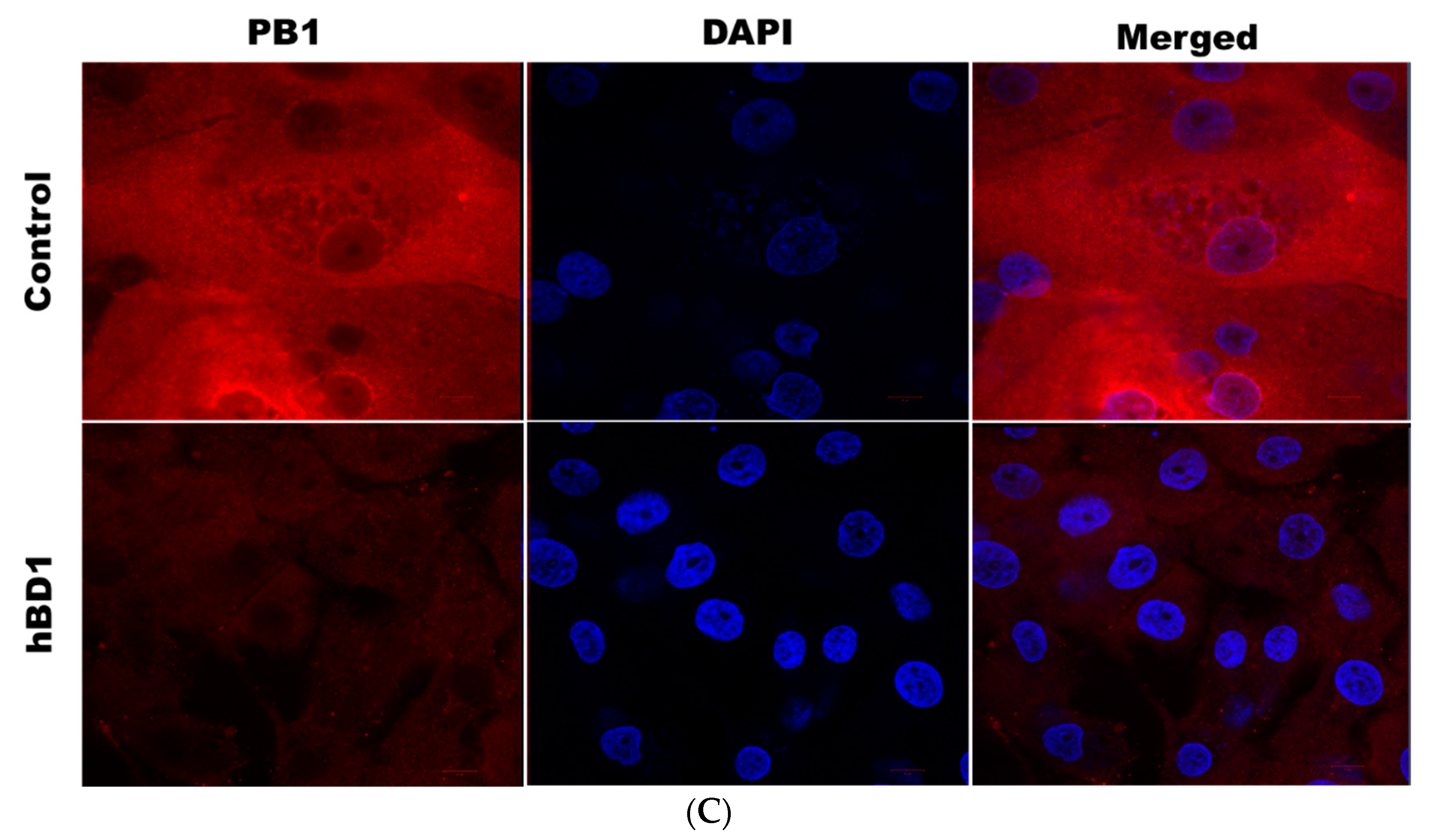 Pathogens 12 00123 g003b