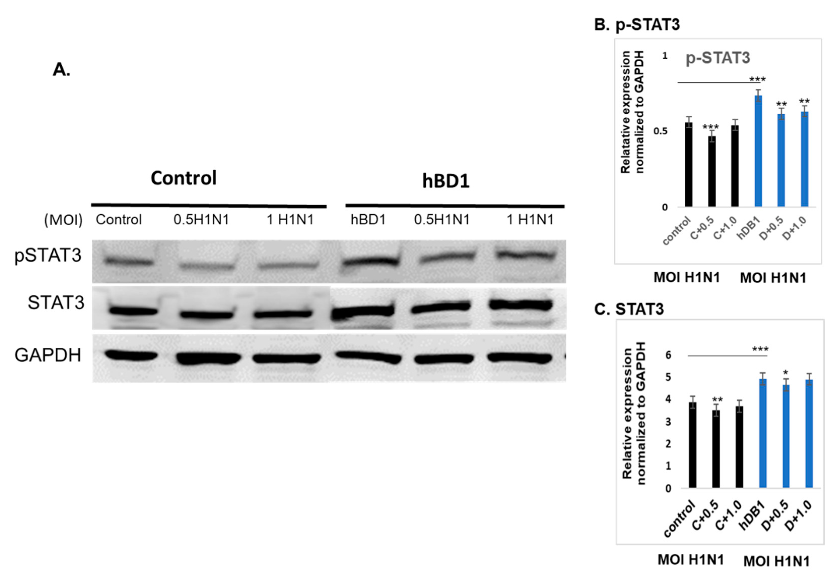 Pathogens 12 00123 g007