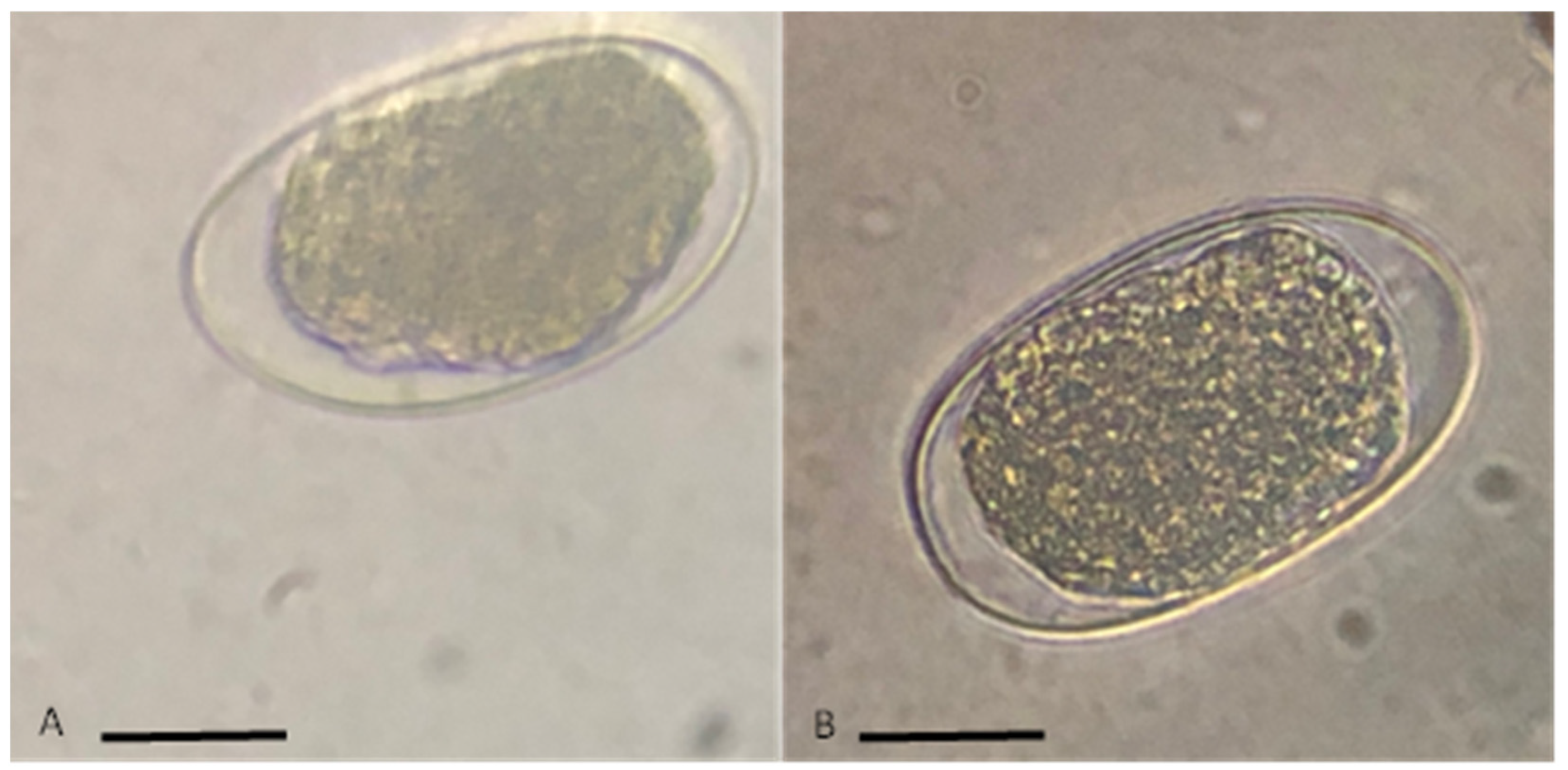 Pathogens 12 00124 g001 Pathogens 12 00124 g001