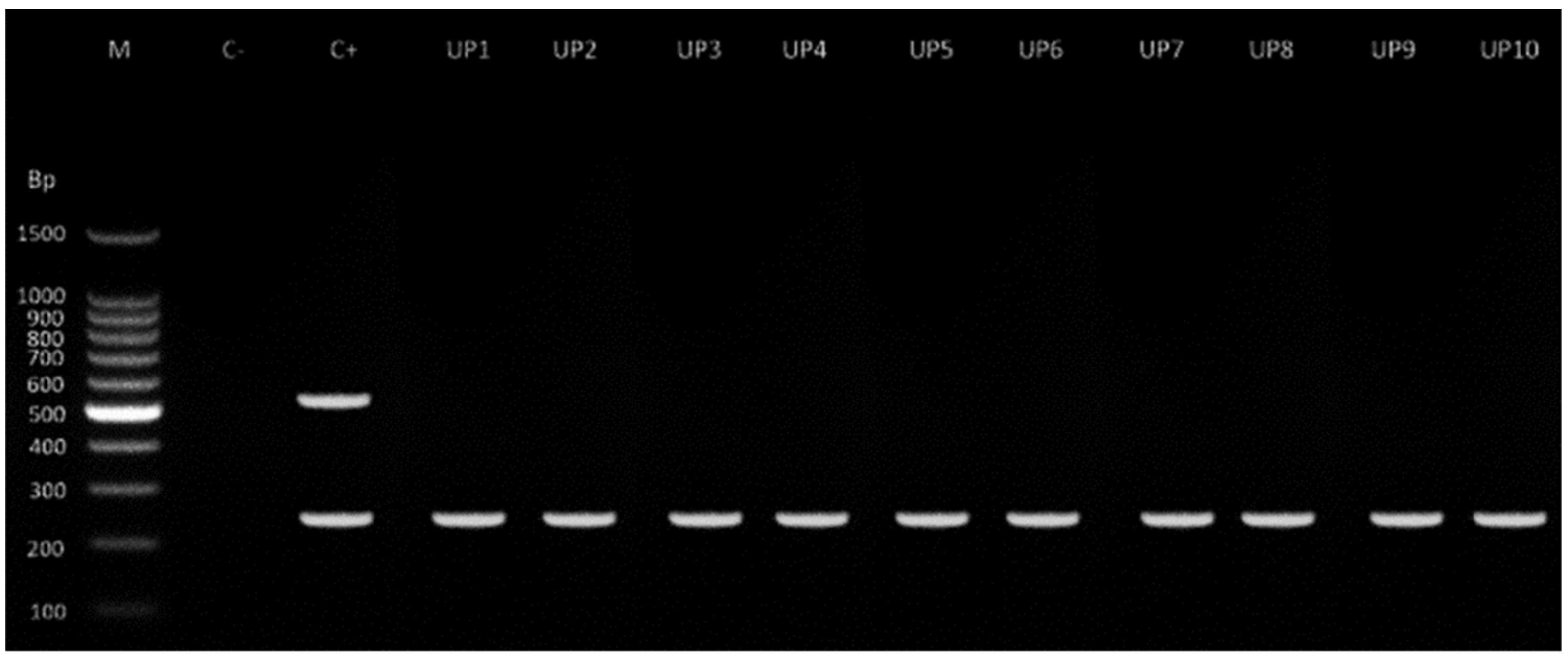 Pathogens 12 00124 g002 Pathogens 12 00124 g002