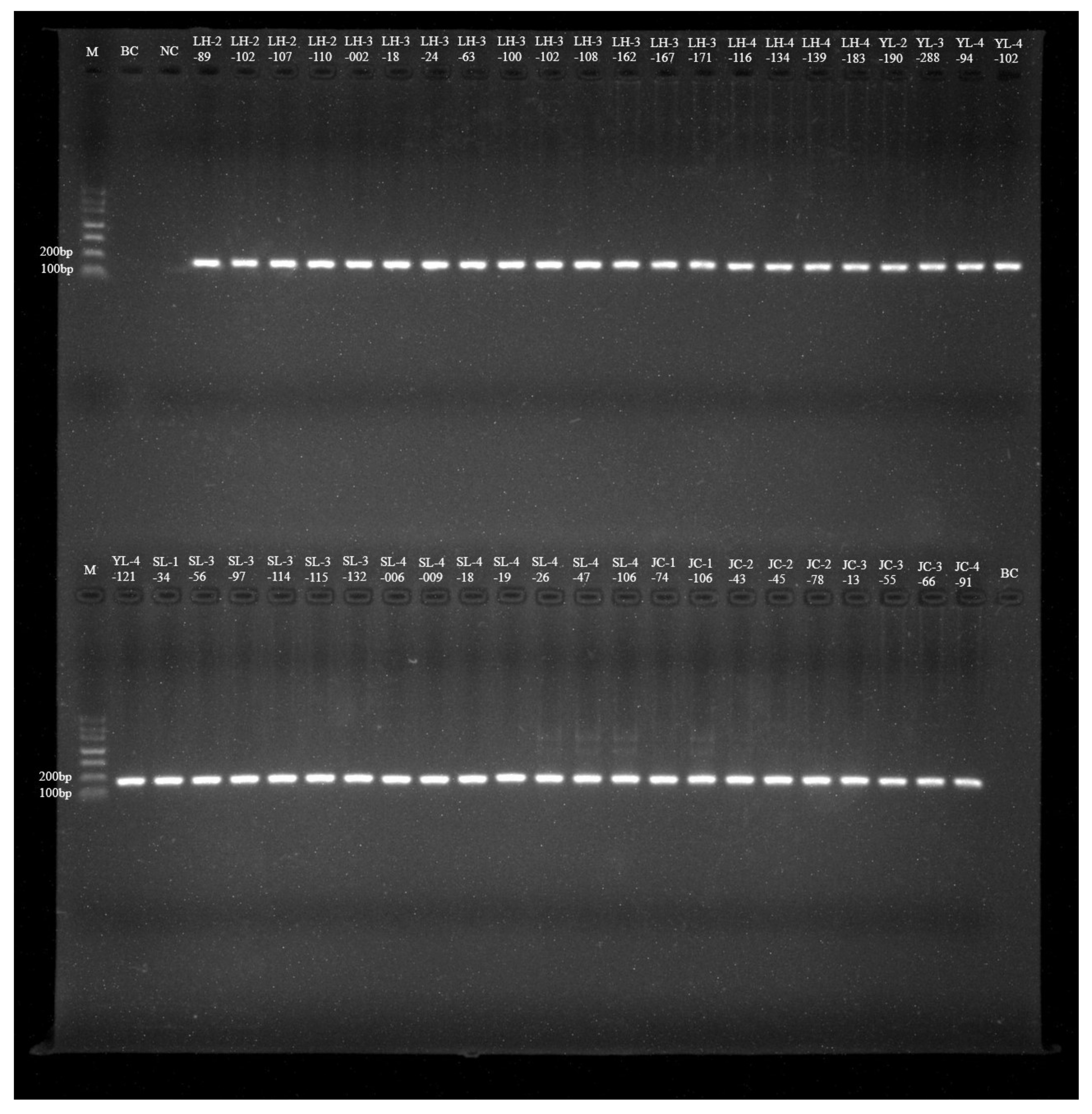 Pathogens 12 00128 g002