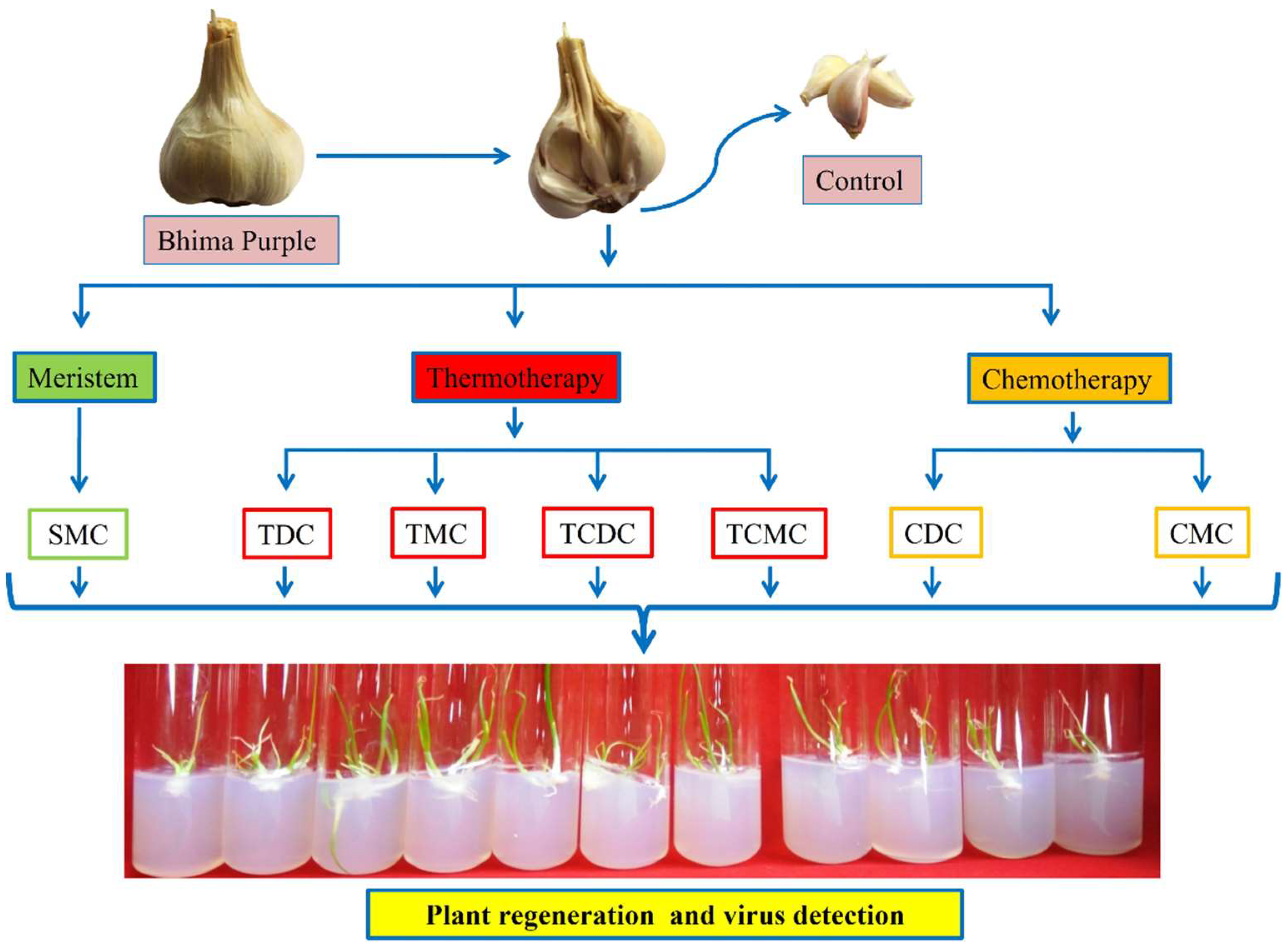 Pathogens 12 00129 g002