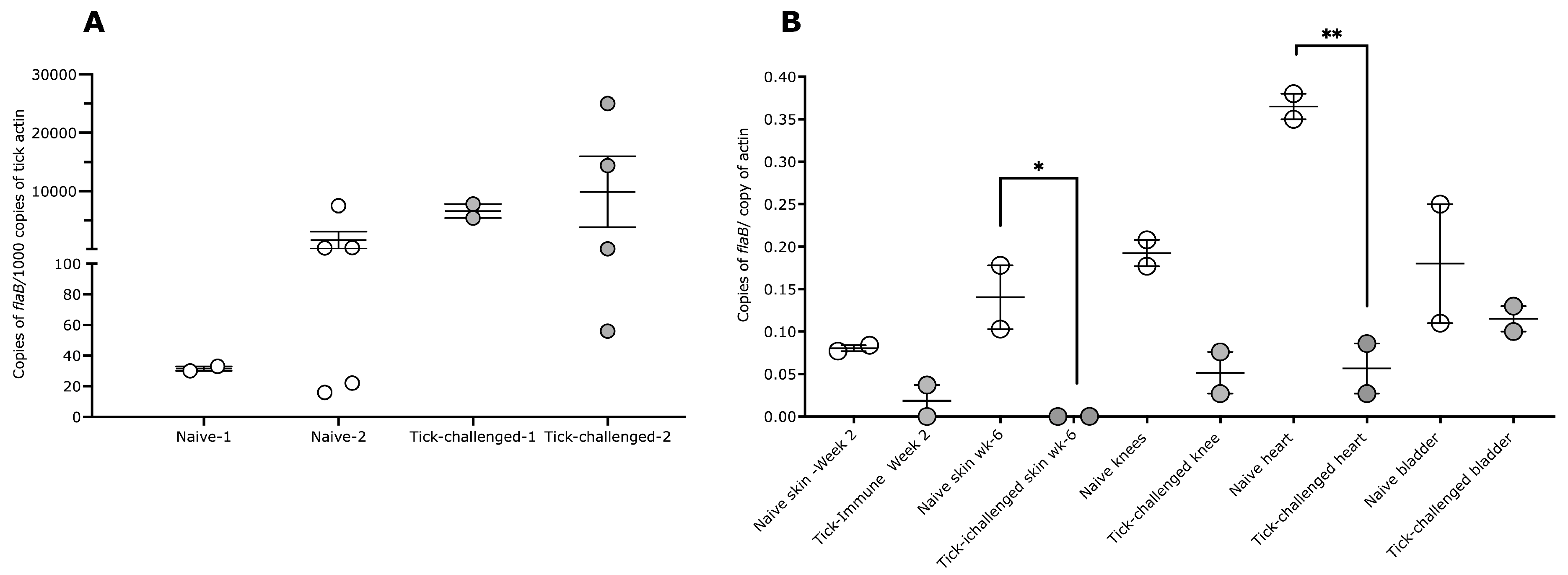 Pathogens 12 00132 g004 Pathogens 12 00132 g004