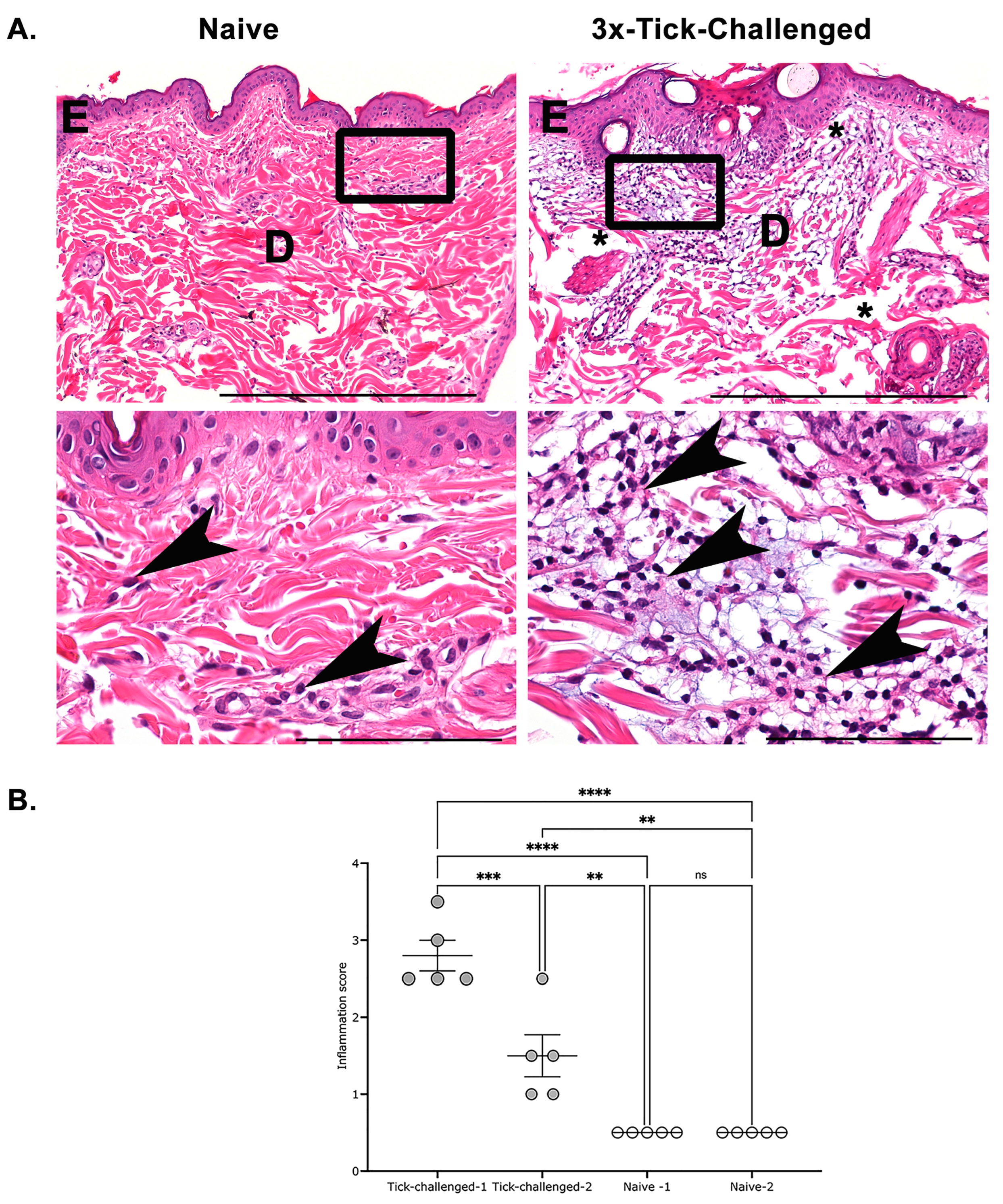 Pathogens 12 00132 g005 Pathogens 12 00132 g005