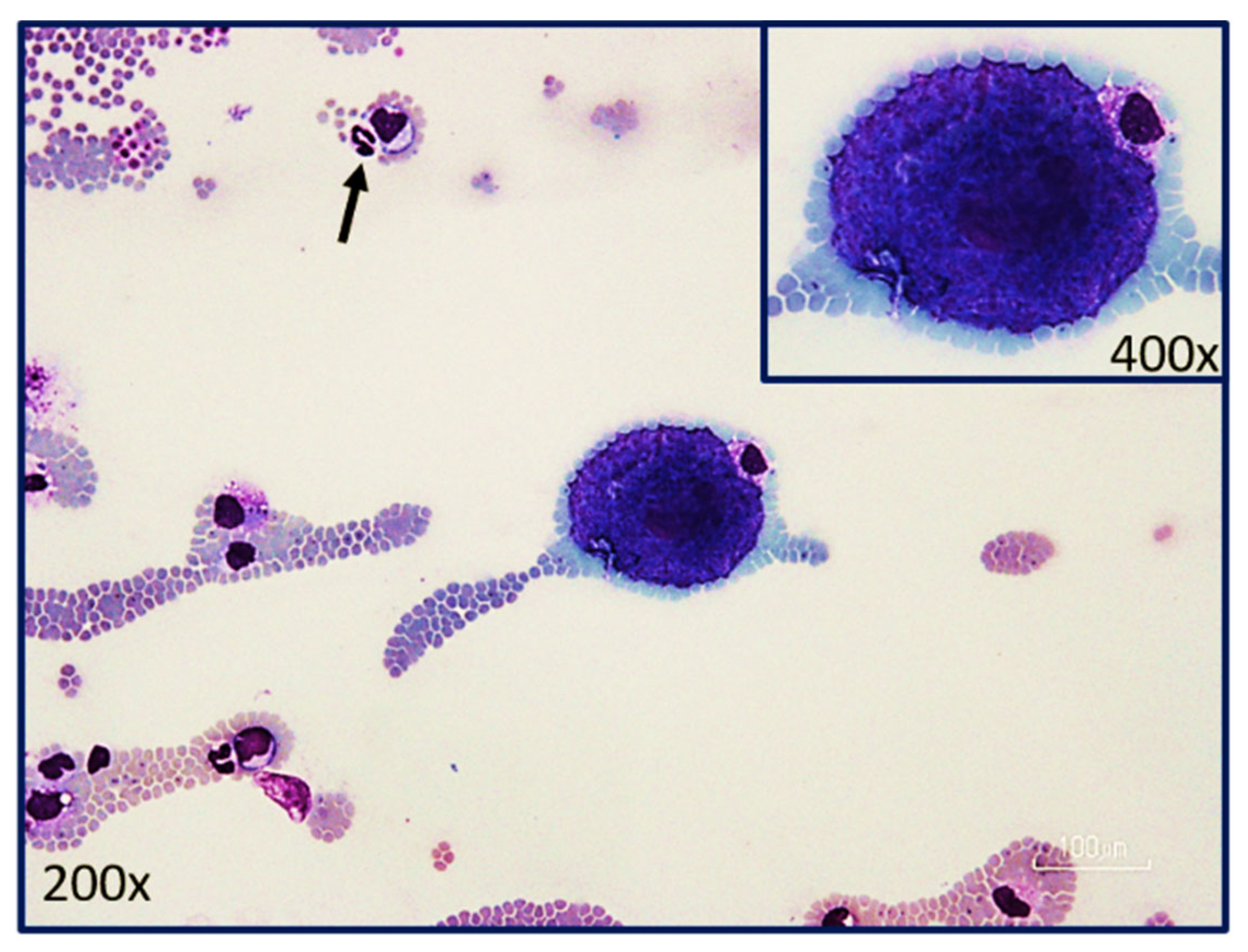 Pathogens 12 00133 g005