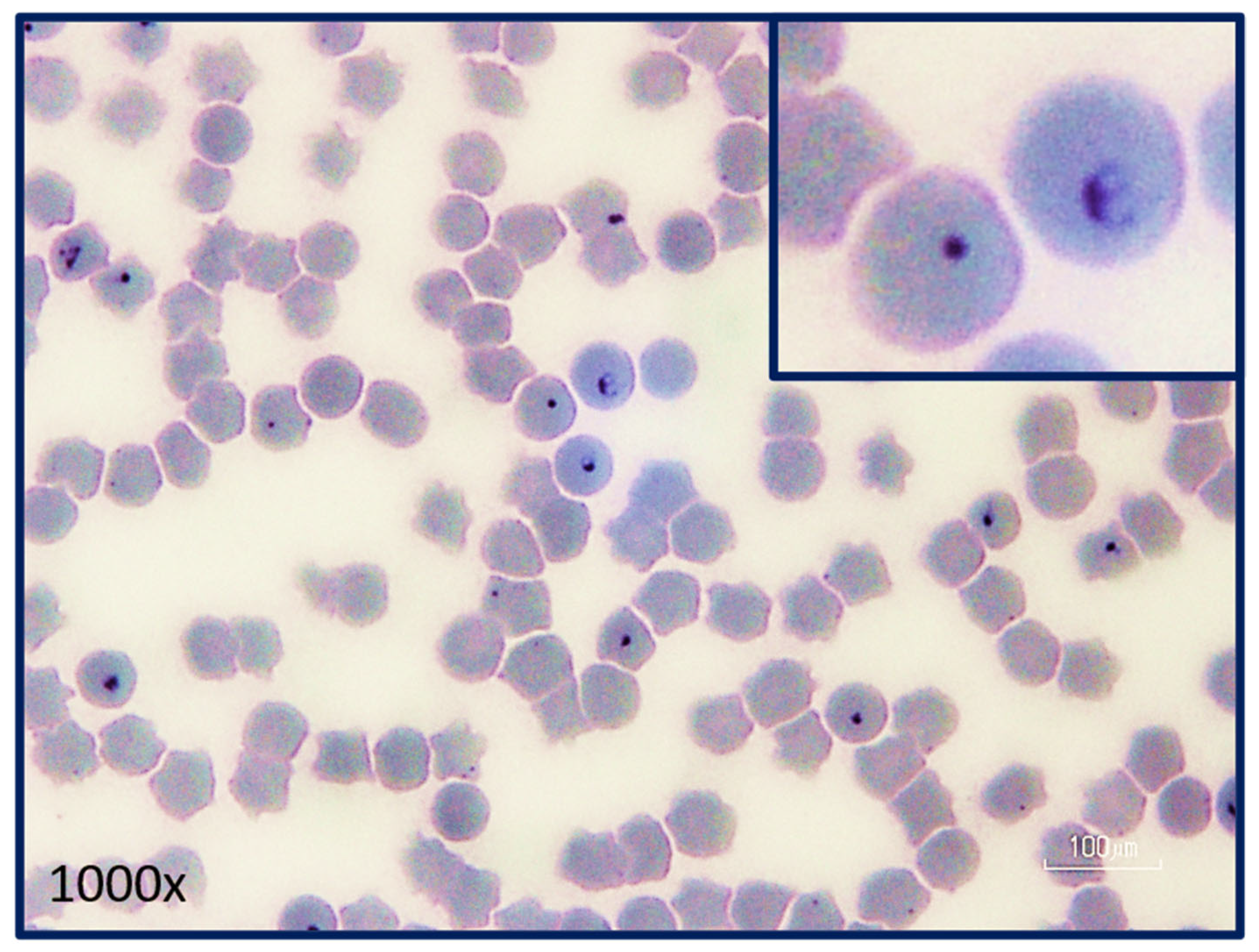Pathogens 12 00133 g006