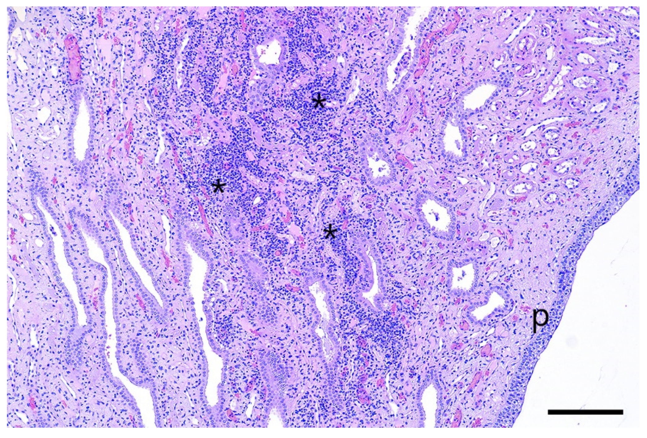 Pathogens 12 00135 g005 550