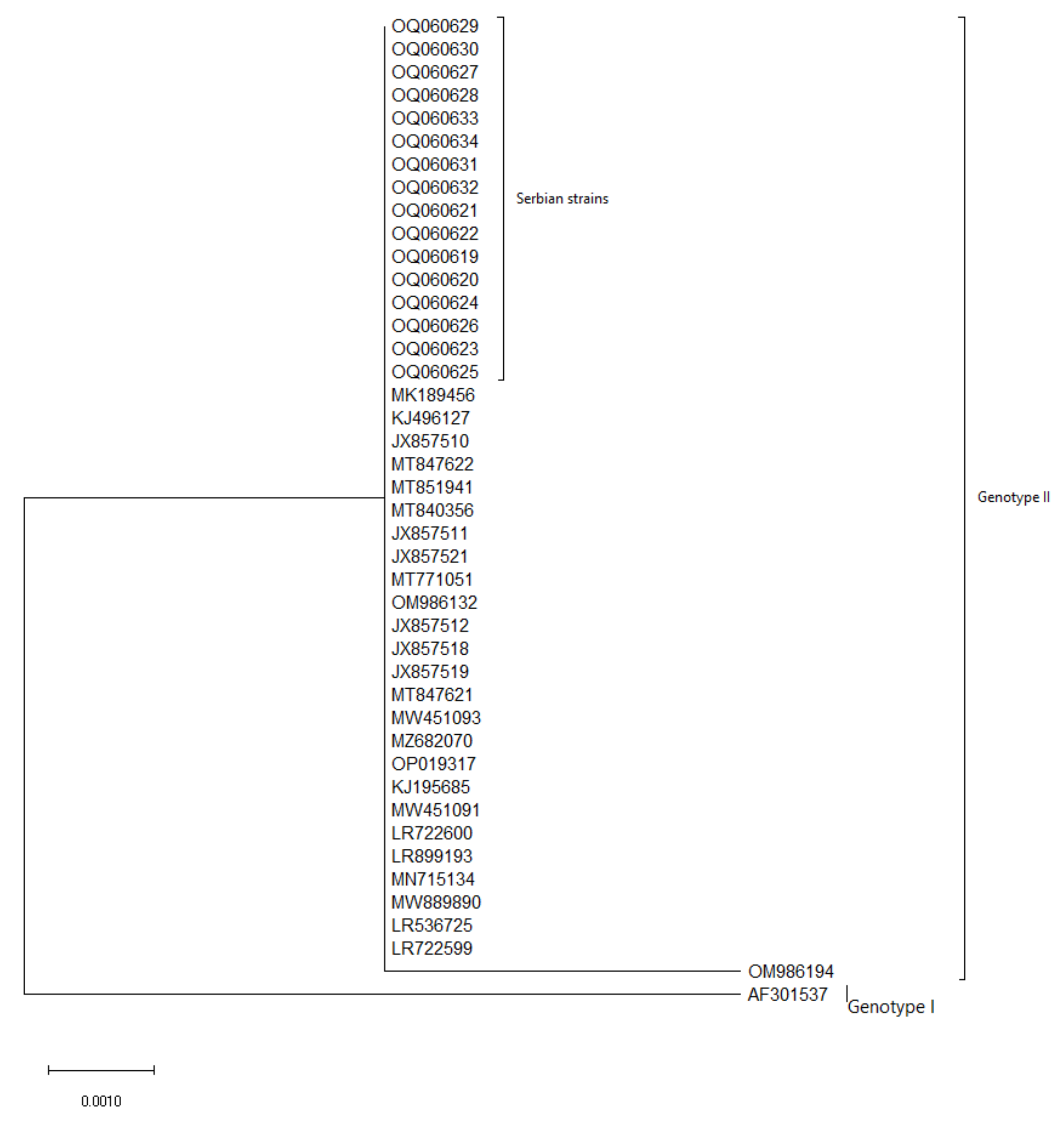 Pathogens 12 00149 g002 Pathogens 12 00149 g002