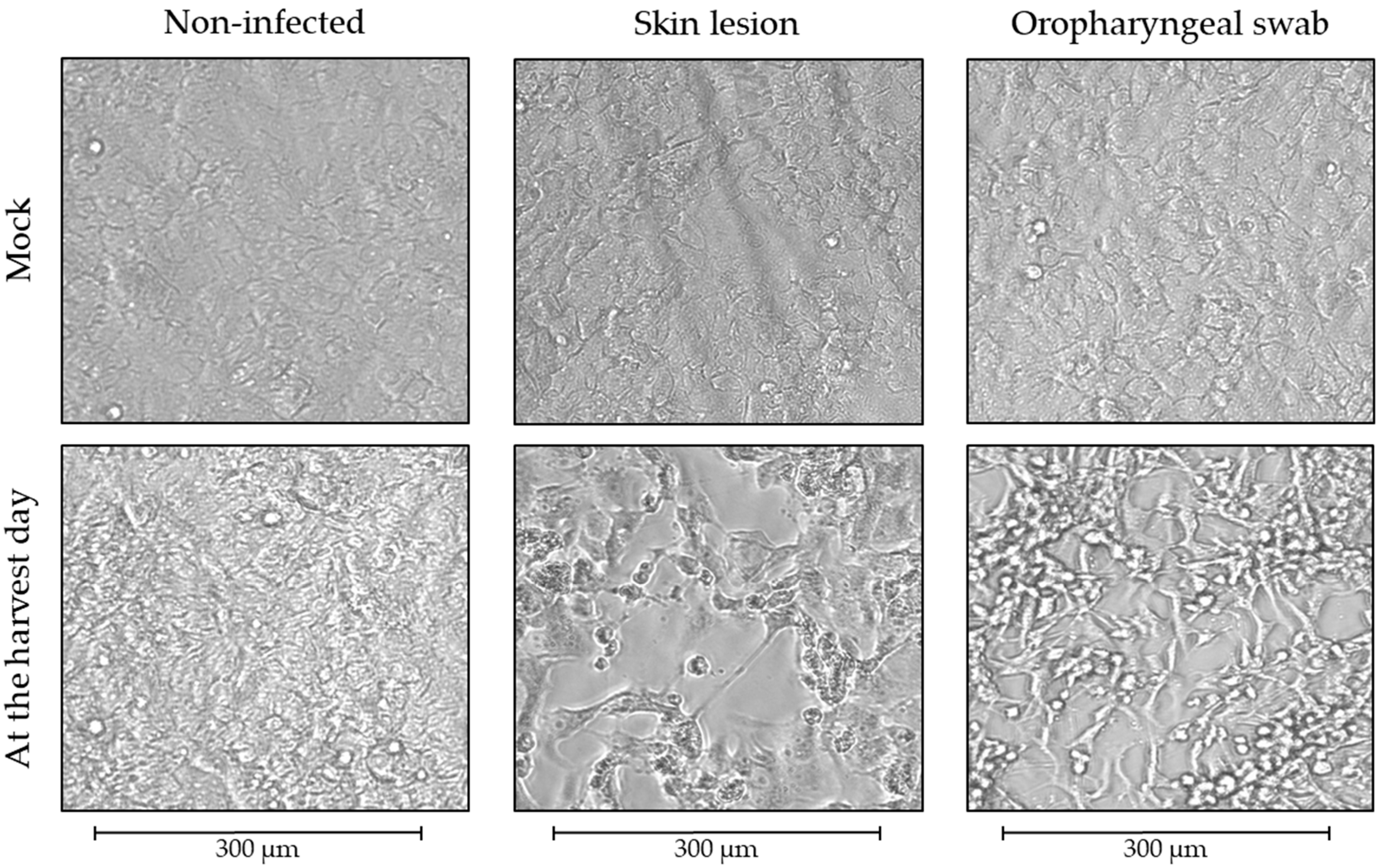 Pathogens 12 00159 g002 550