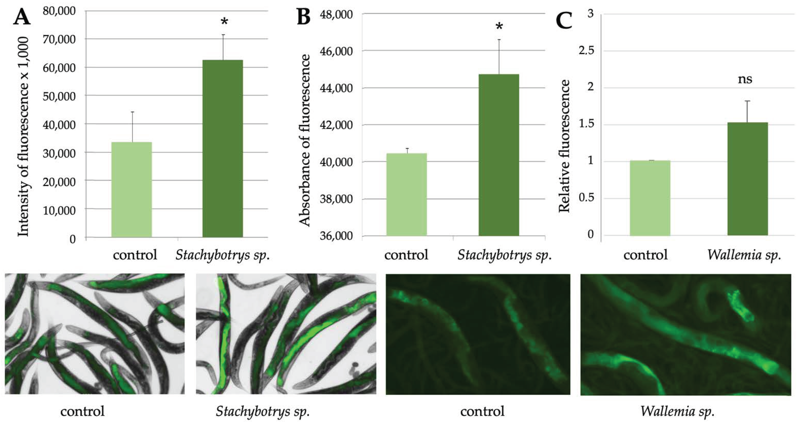 Pathogens 12 00161 g006