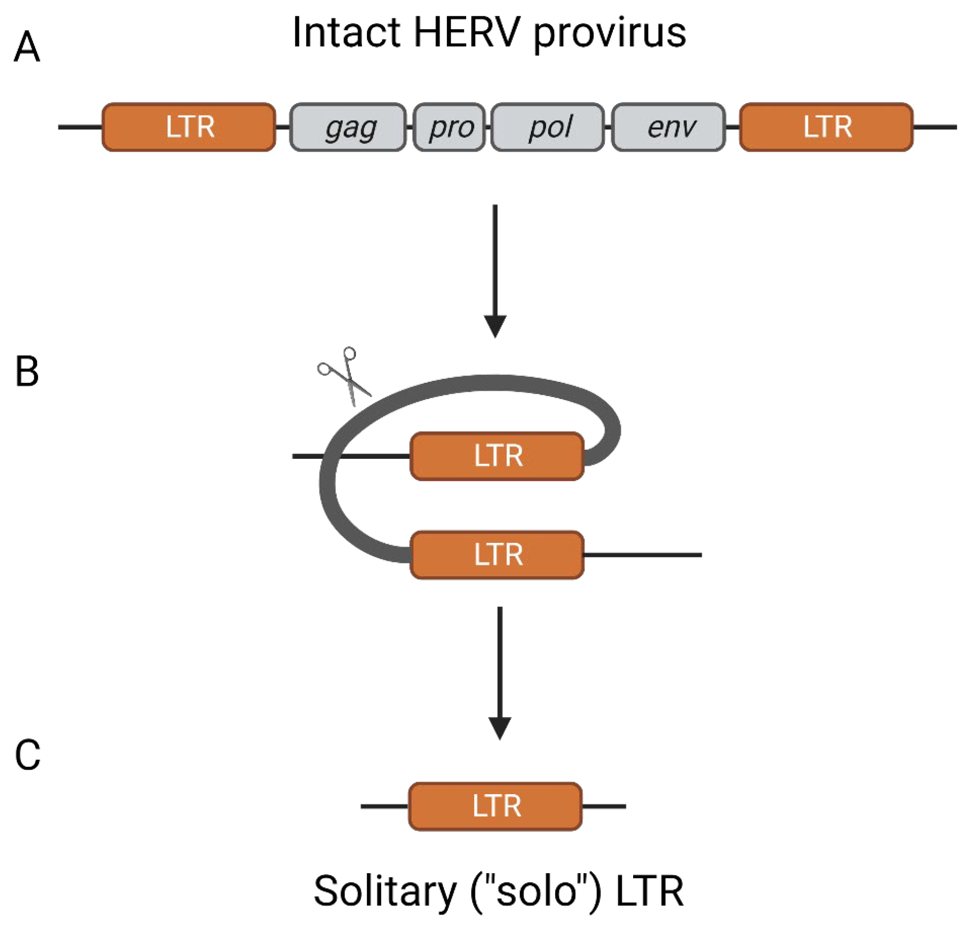 Pathogens 12 00162 g001