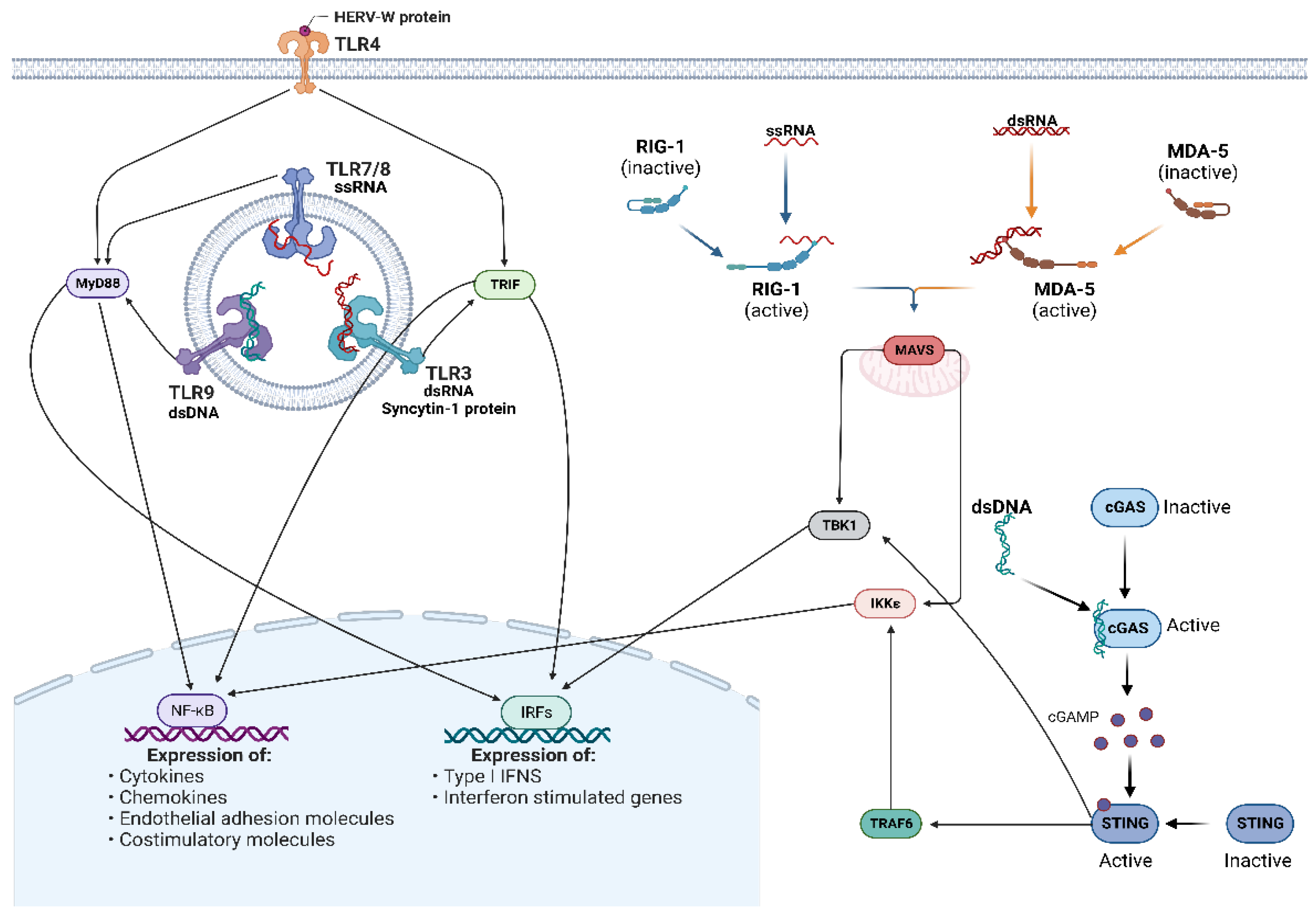 Pathogens 12 00162 g004
