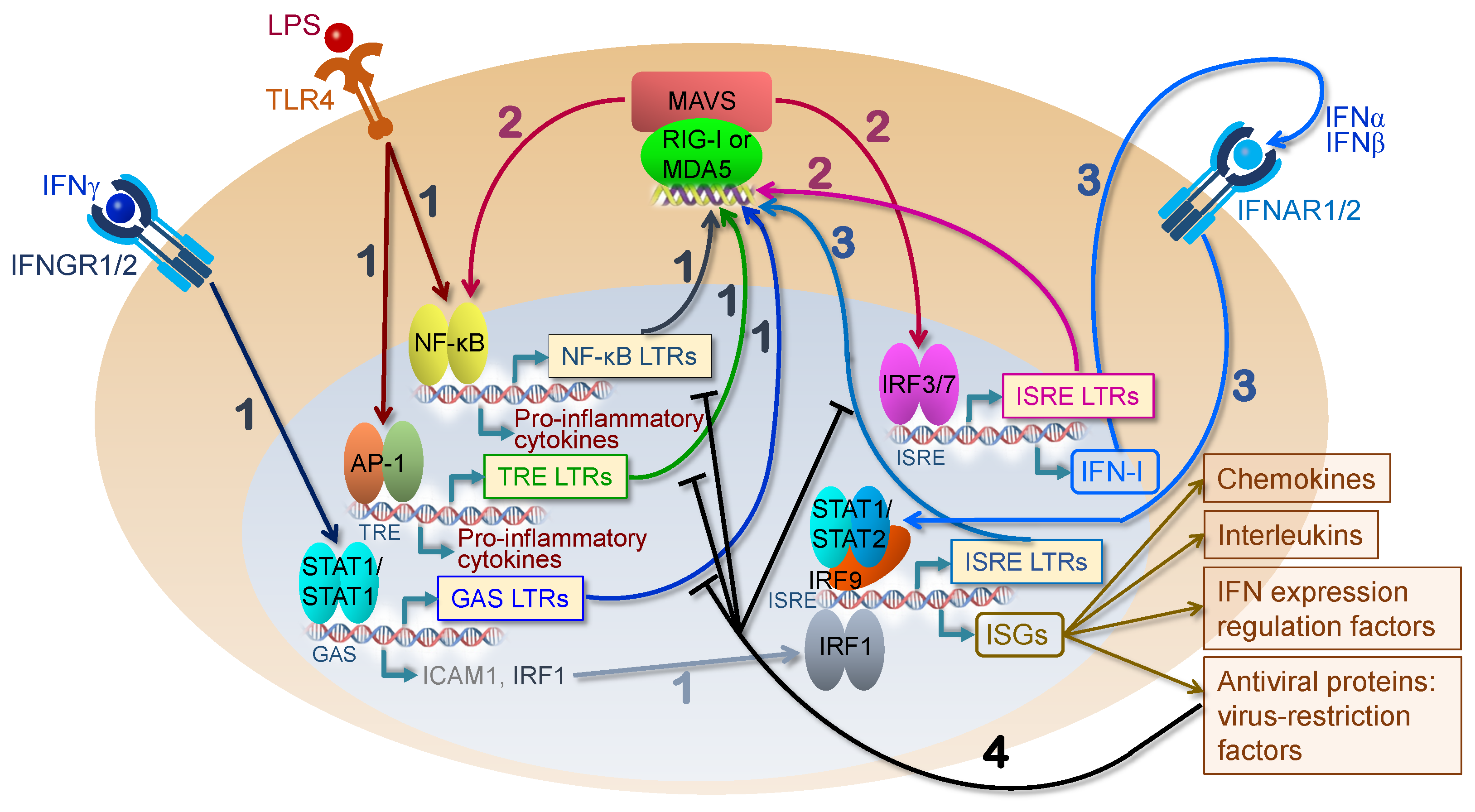 Pathogens 12 00162 g005