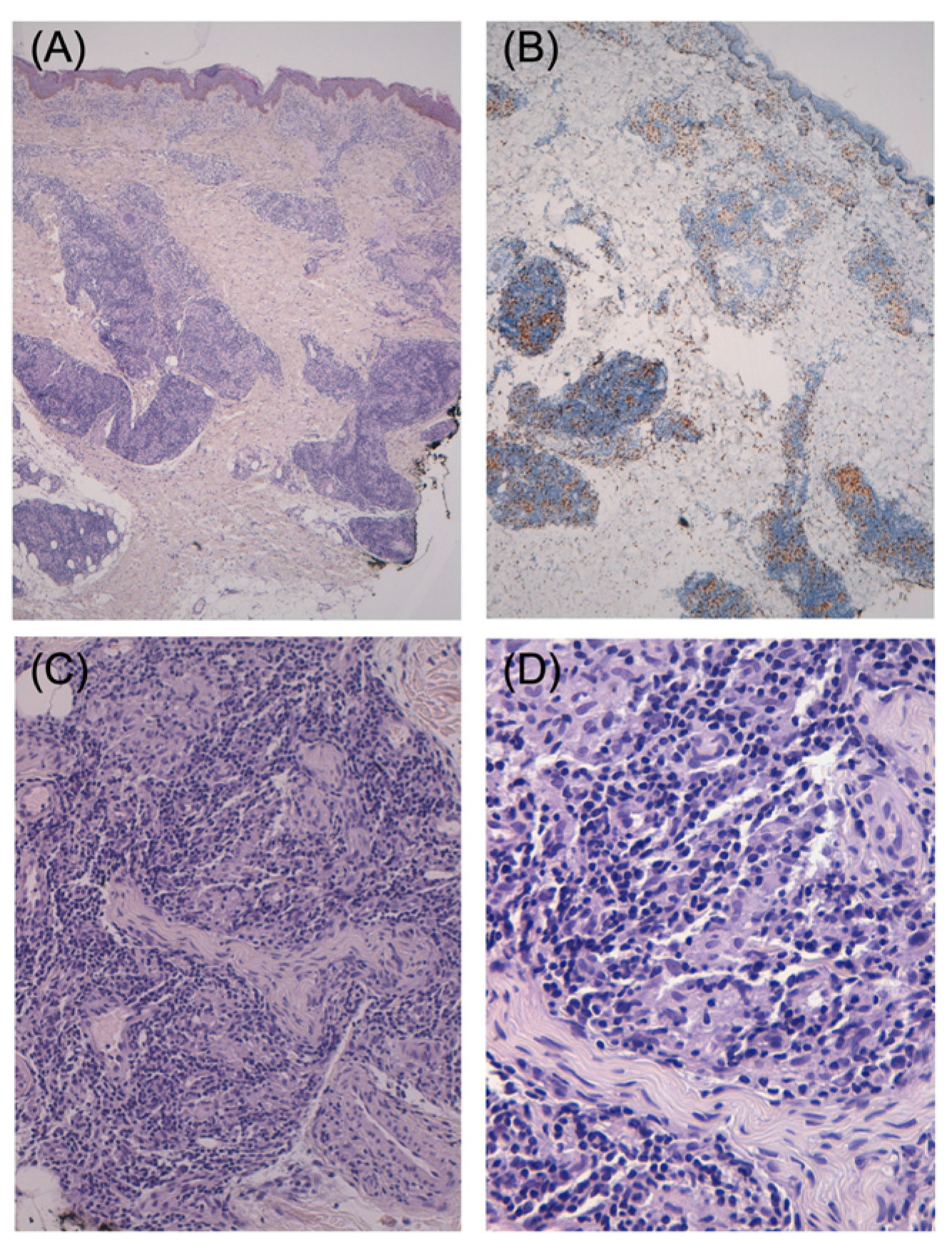 Pathogens 12 00165 g002