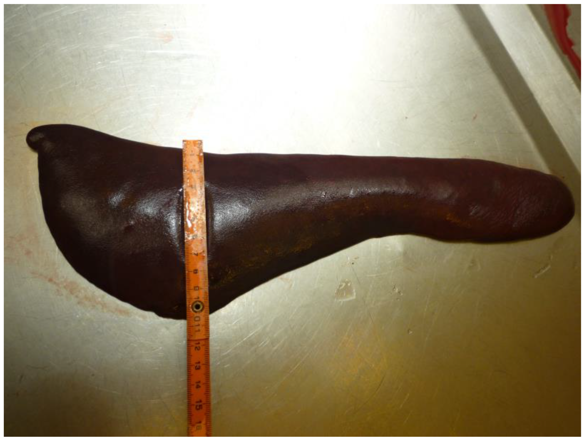 Pathogens 12 00166 g002 Pathogens 12 00166 g002