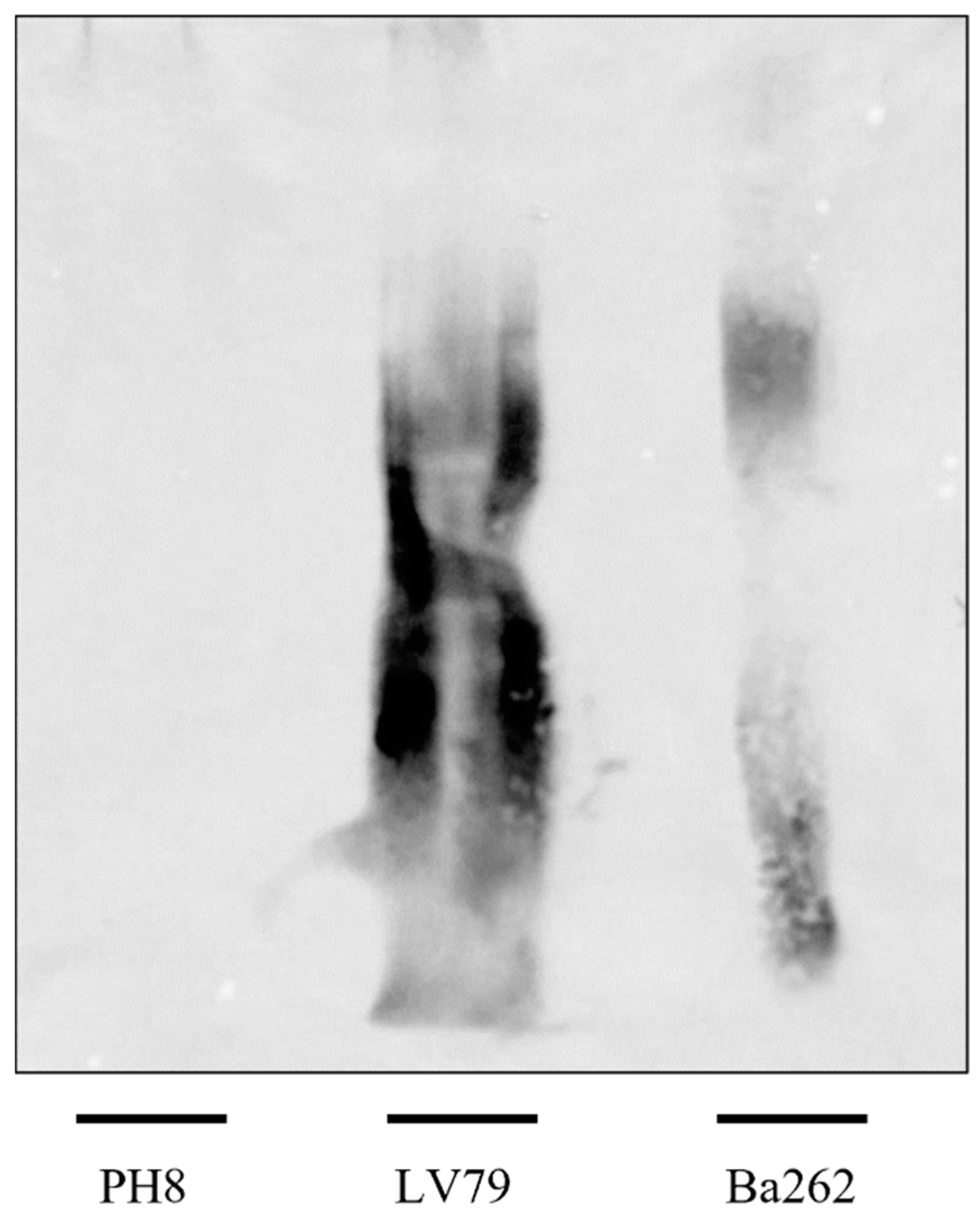 Pathogens 12 00173 g004 Pathogens 12 00173 g004