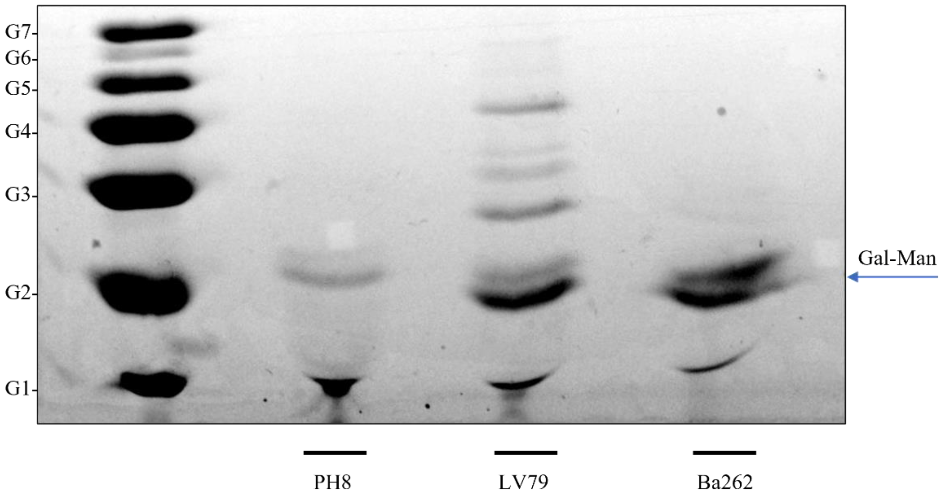 Pathogens 12 00173 g005 Pathogens 12 00173 g005