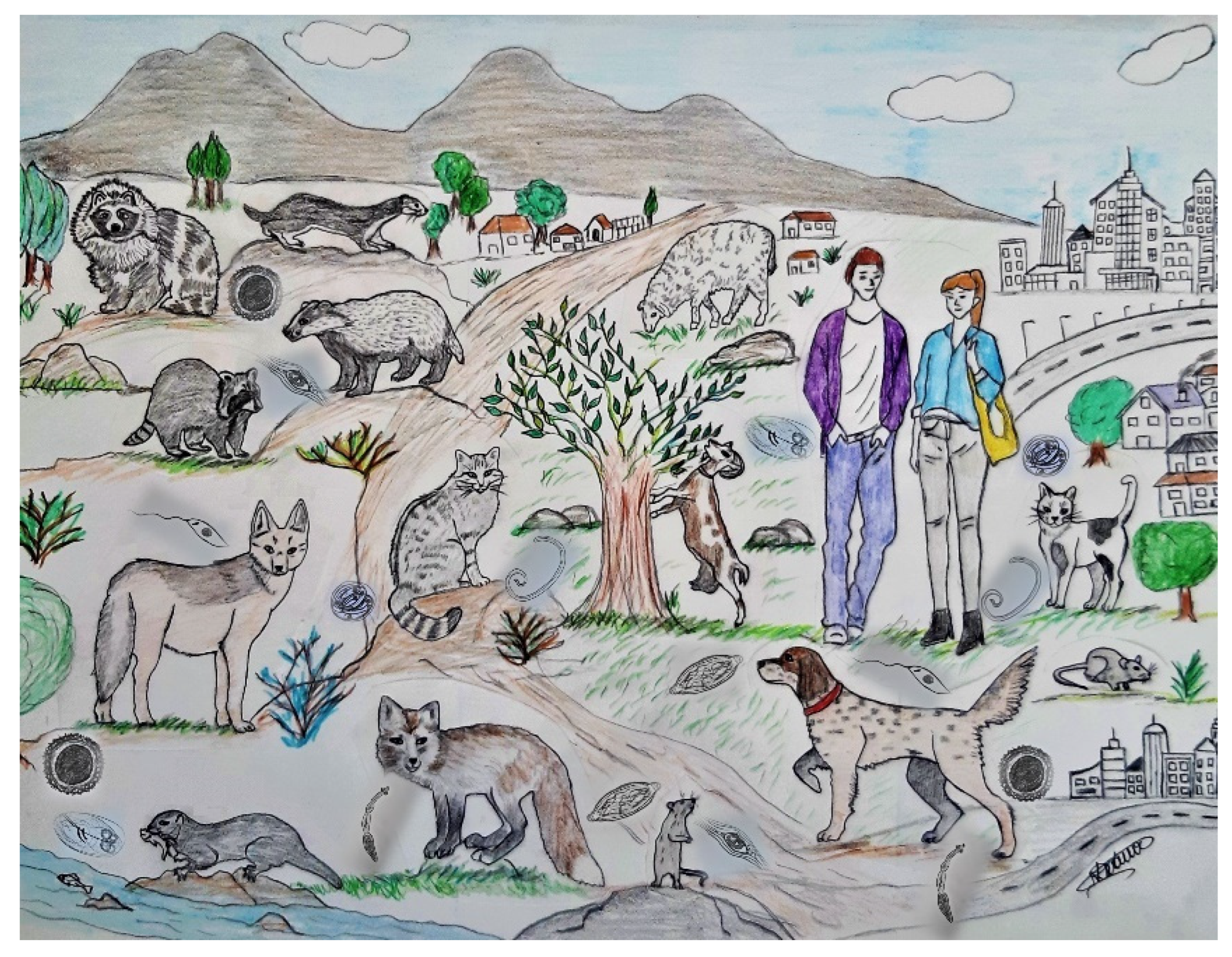 Pathogens 12 00178 g001 Pathogens 12 00178 g001