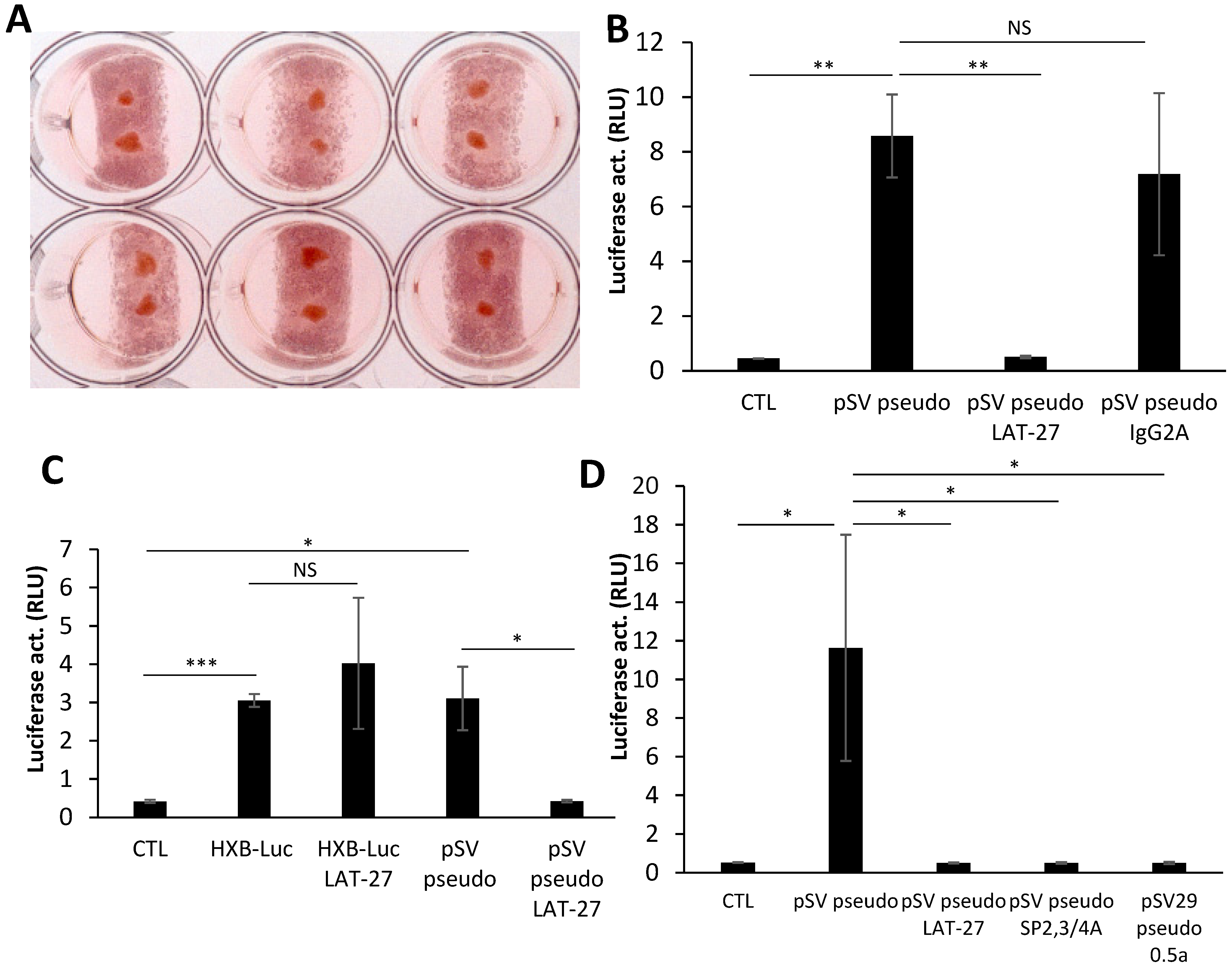 Pathogens 12 00182 g002 Pathogens 12 00182 g002