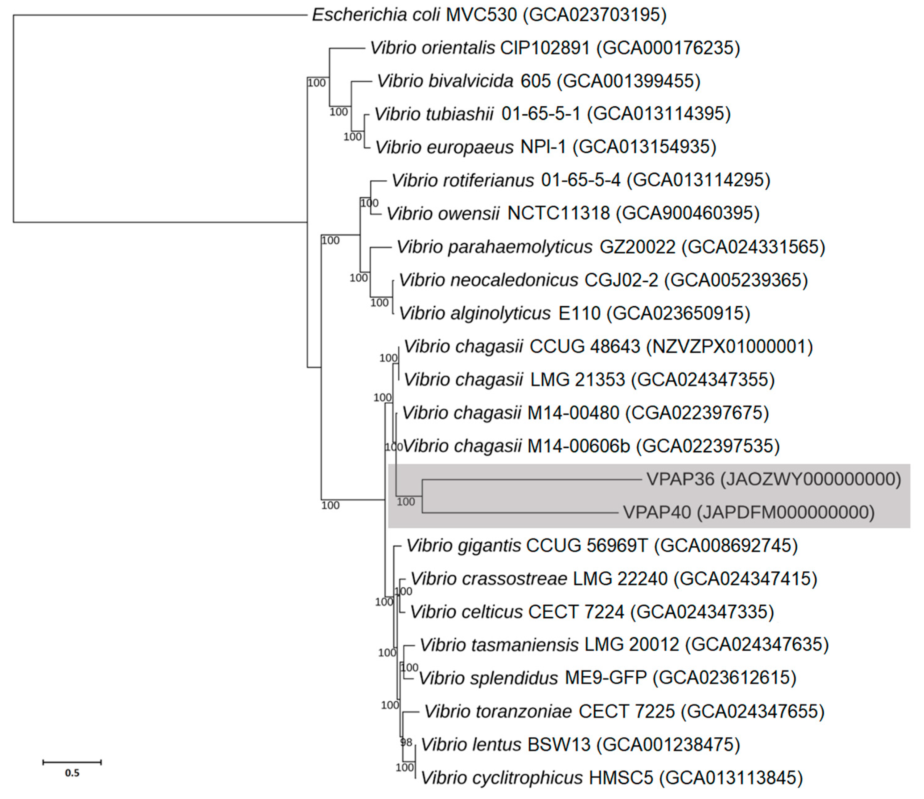Pathogens 12 00183 g002 Pathogens 12 00183 g002