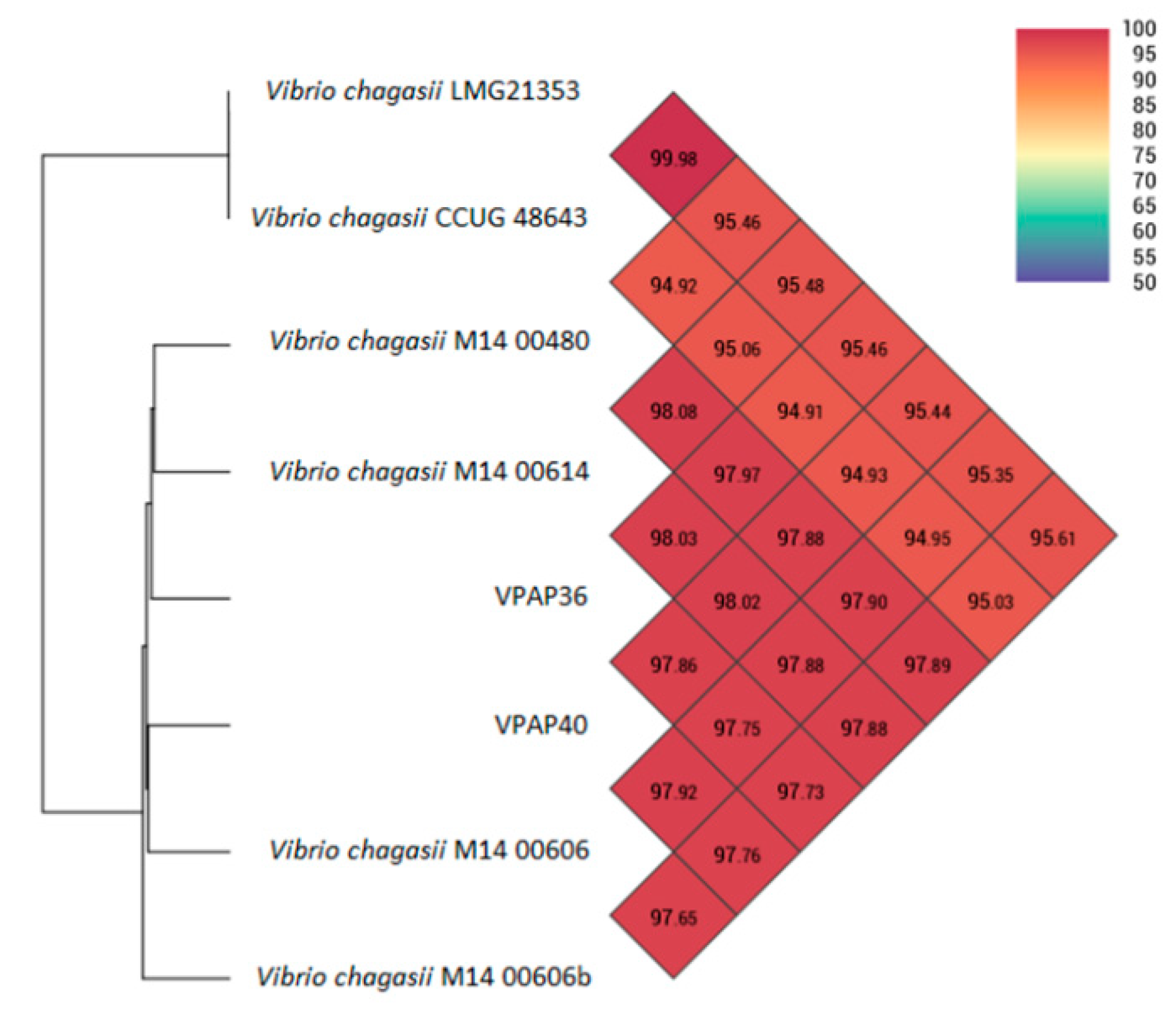 Pathogens 12 00183 g003 Pathogens 12 00183 g003