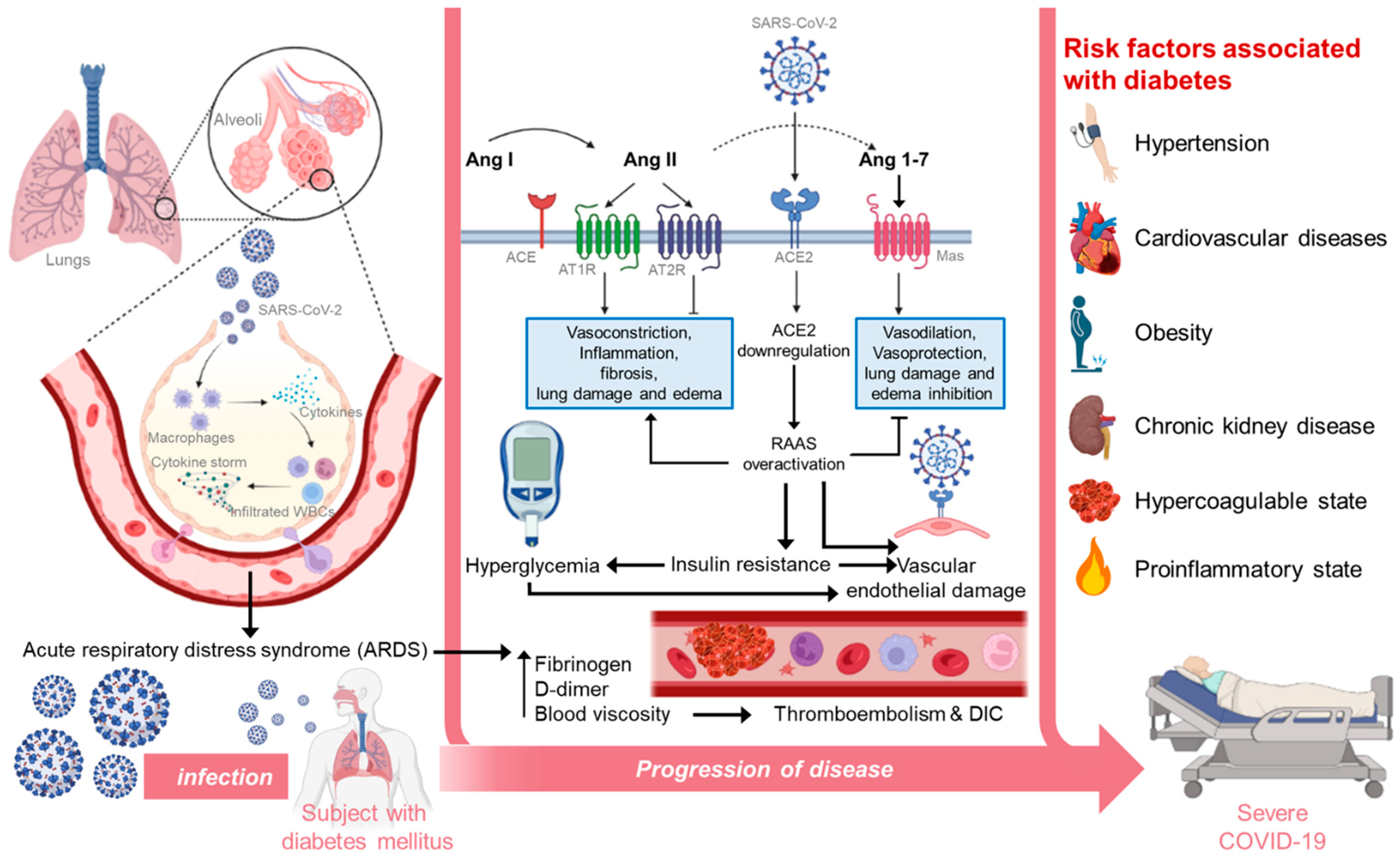 Pathogens 12 00184 g001