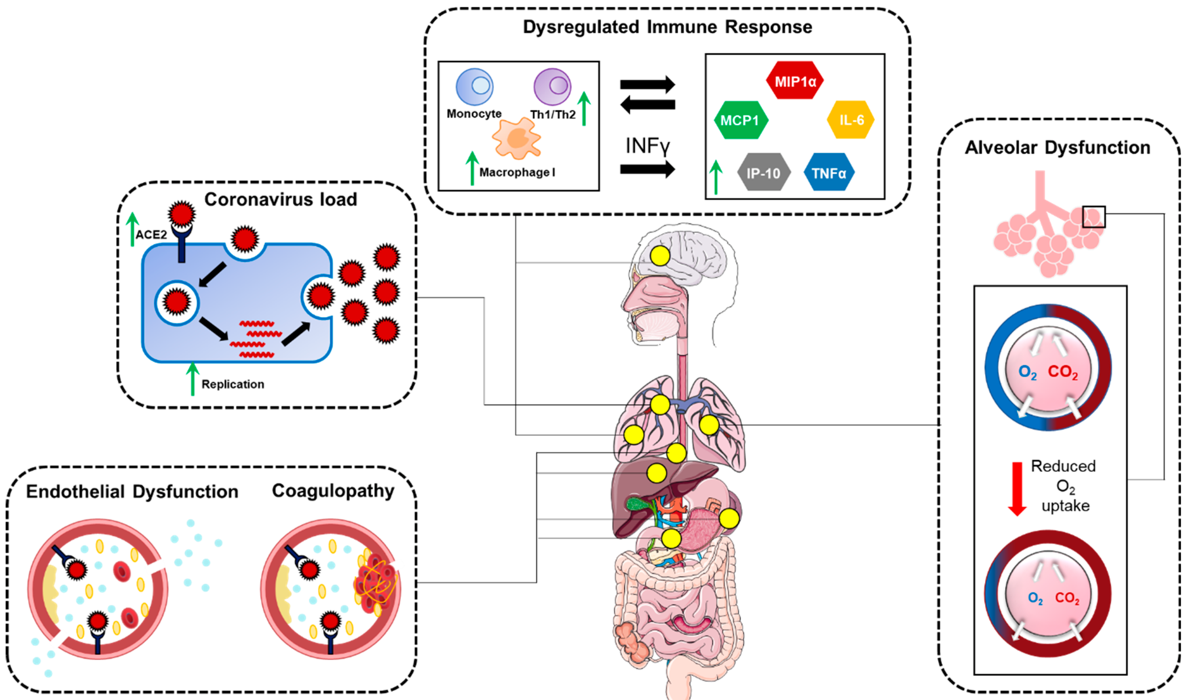 Pathogens 12 00184 g002