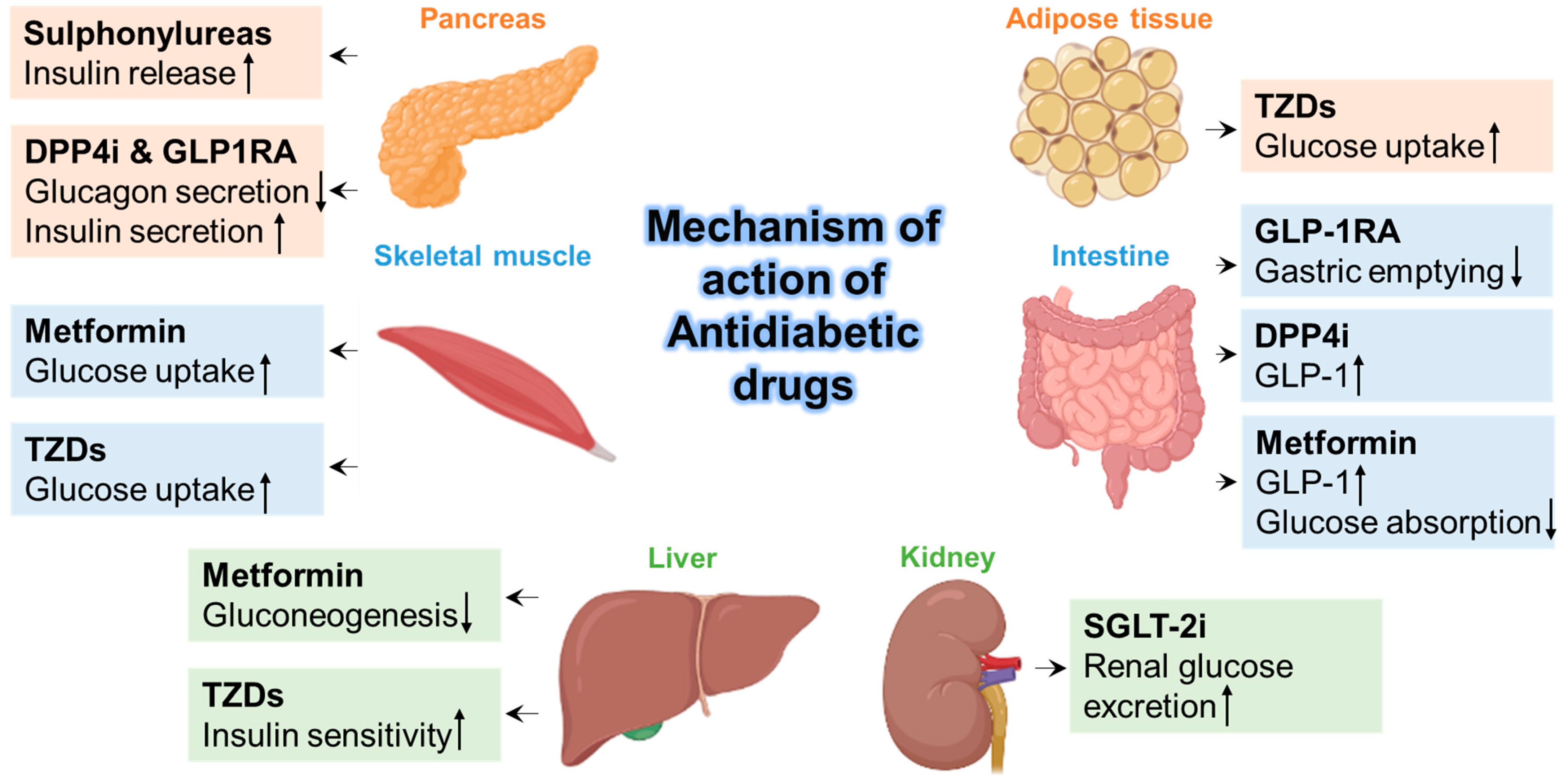 Pathogens 12 00184 g003
