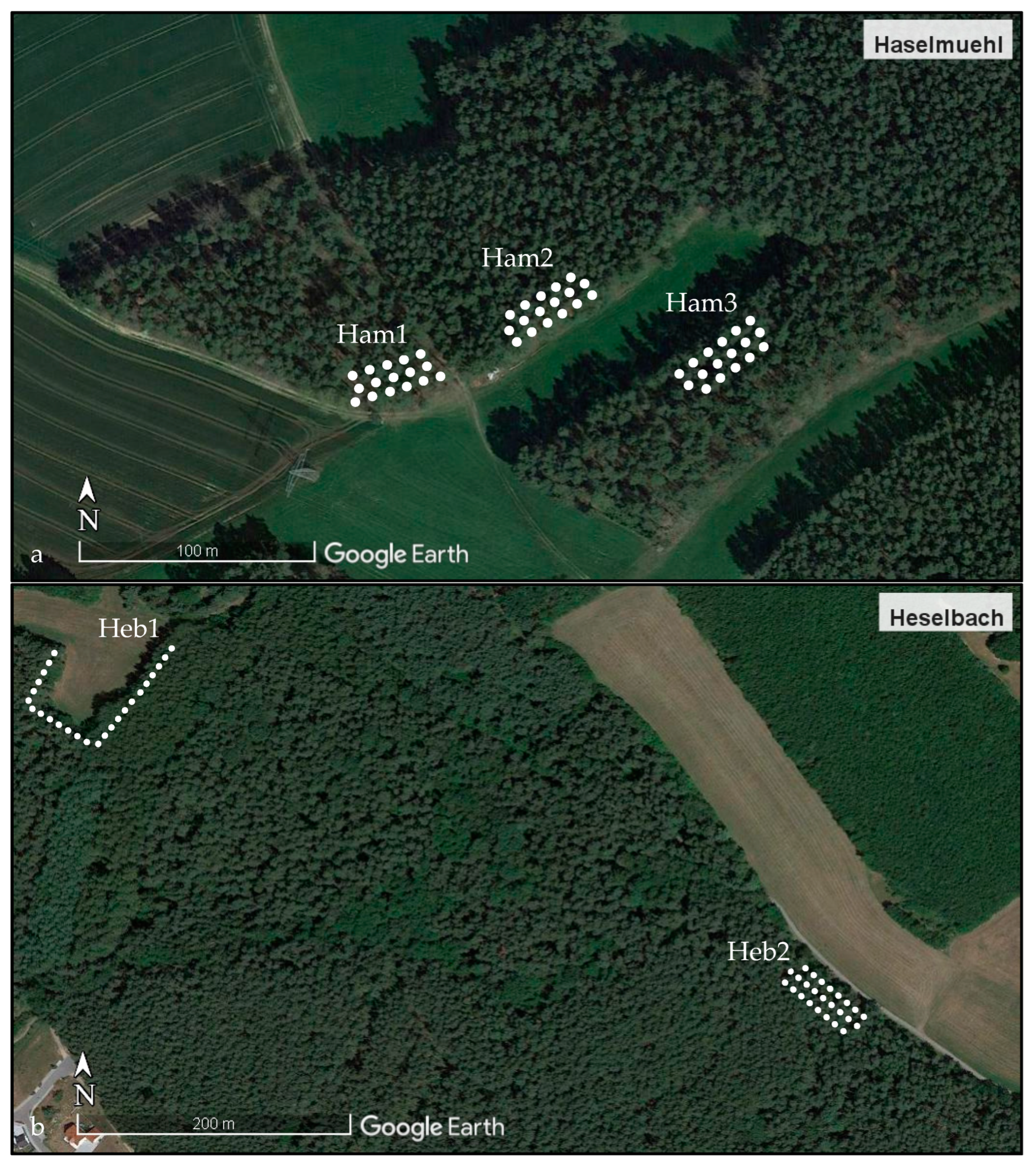 Pathogens 12 00185 g002