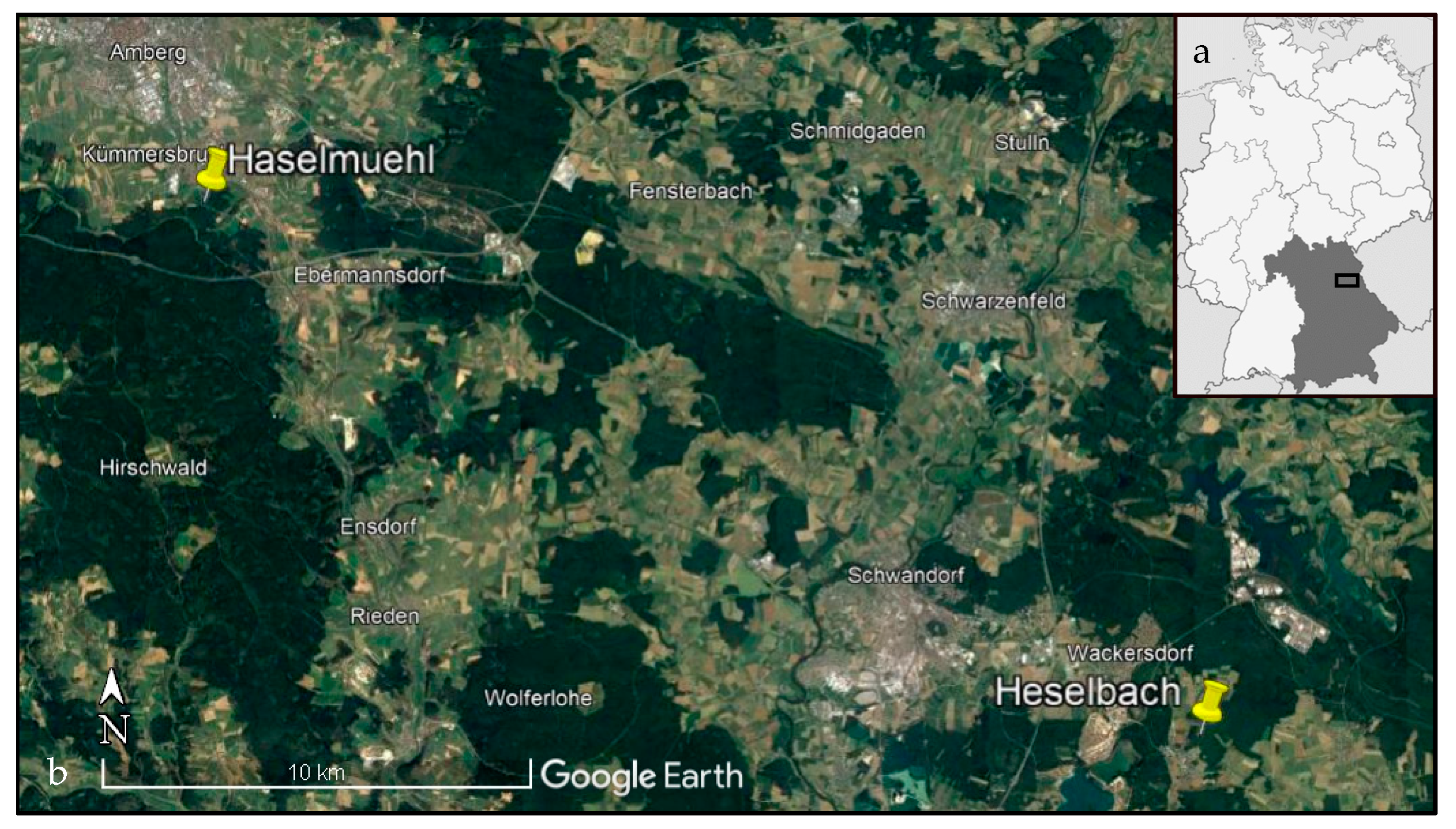Pathogens 12 00185 g003